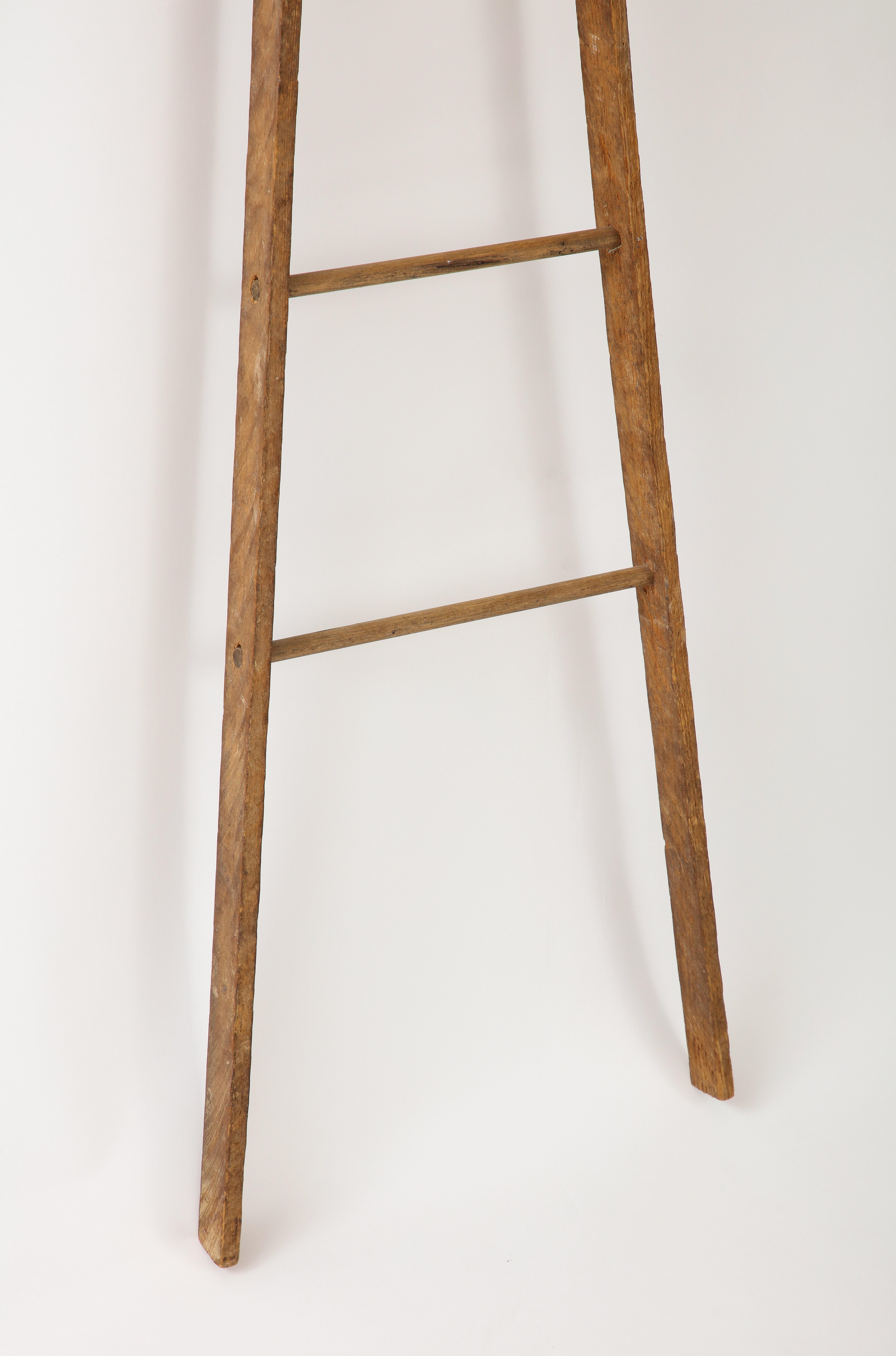 American 19th C. Ladder Model For Sale 2