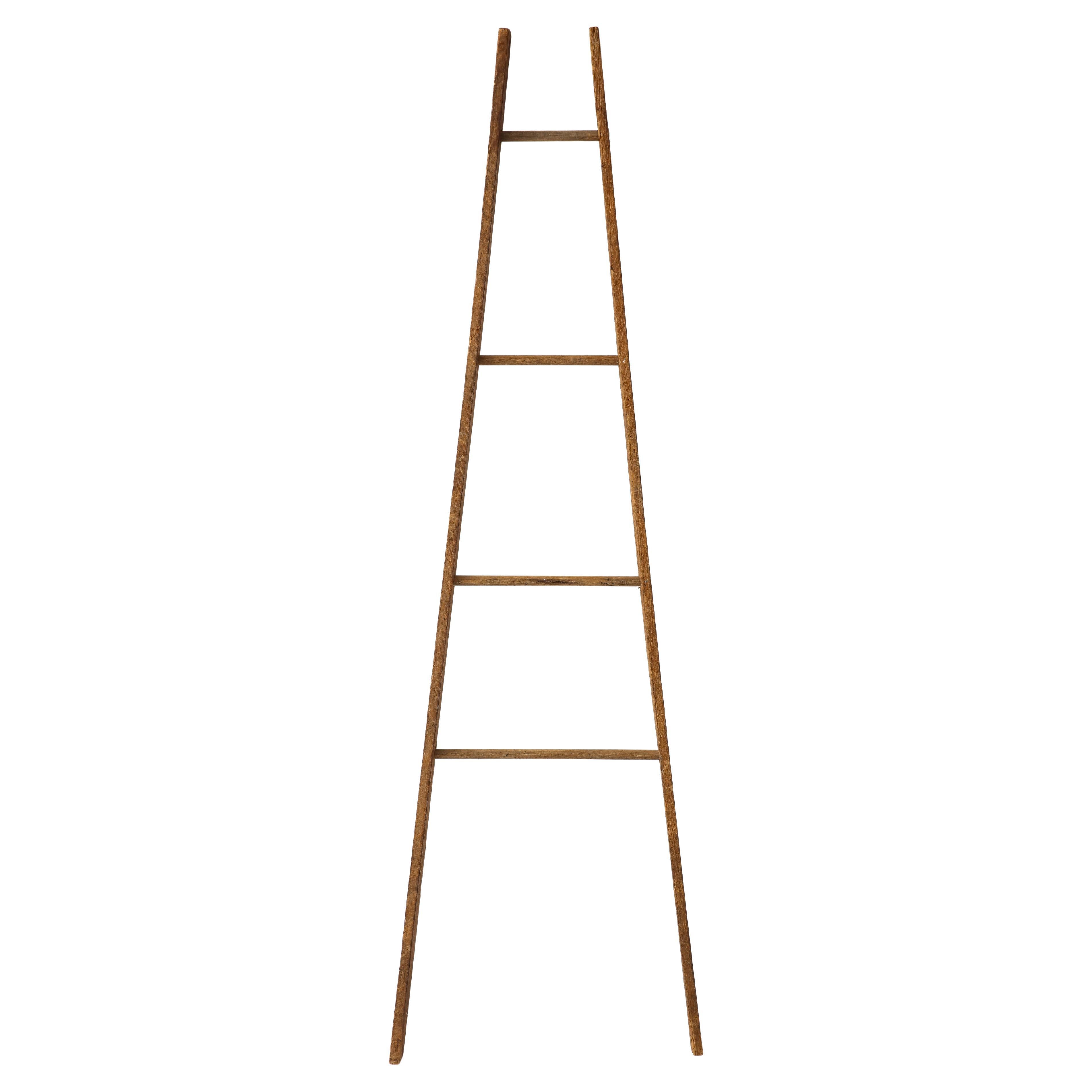 American 19th C. Ladder Model For Sale