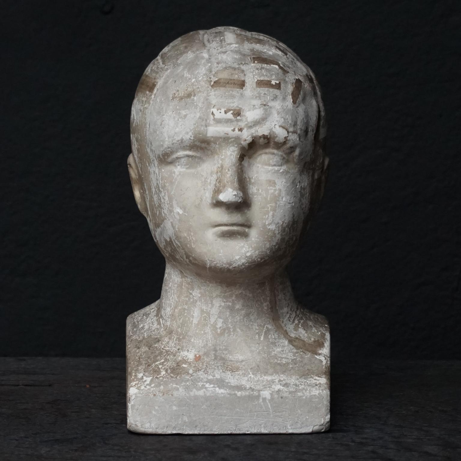 Rare and original 19th century American phrenological chalk-ware or stucco head/bust, with sections of the brain labeled with printed paper, by Fowlers & Wells Phrenological Cabinet New York.

Phrenology was the study of the shape and features of