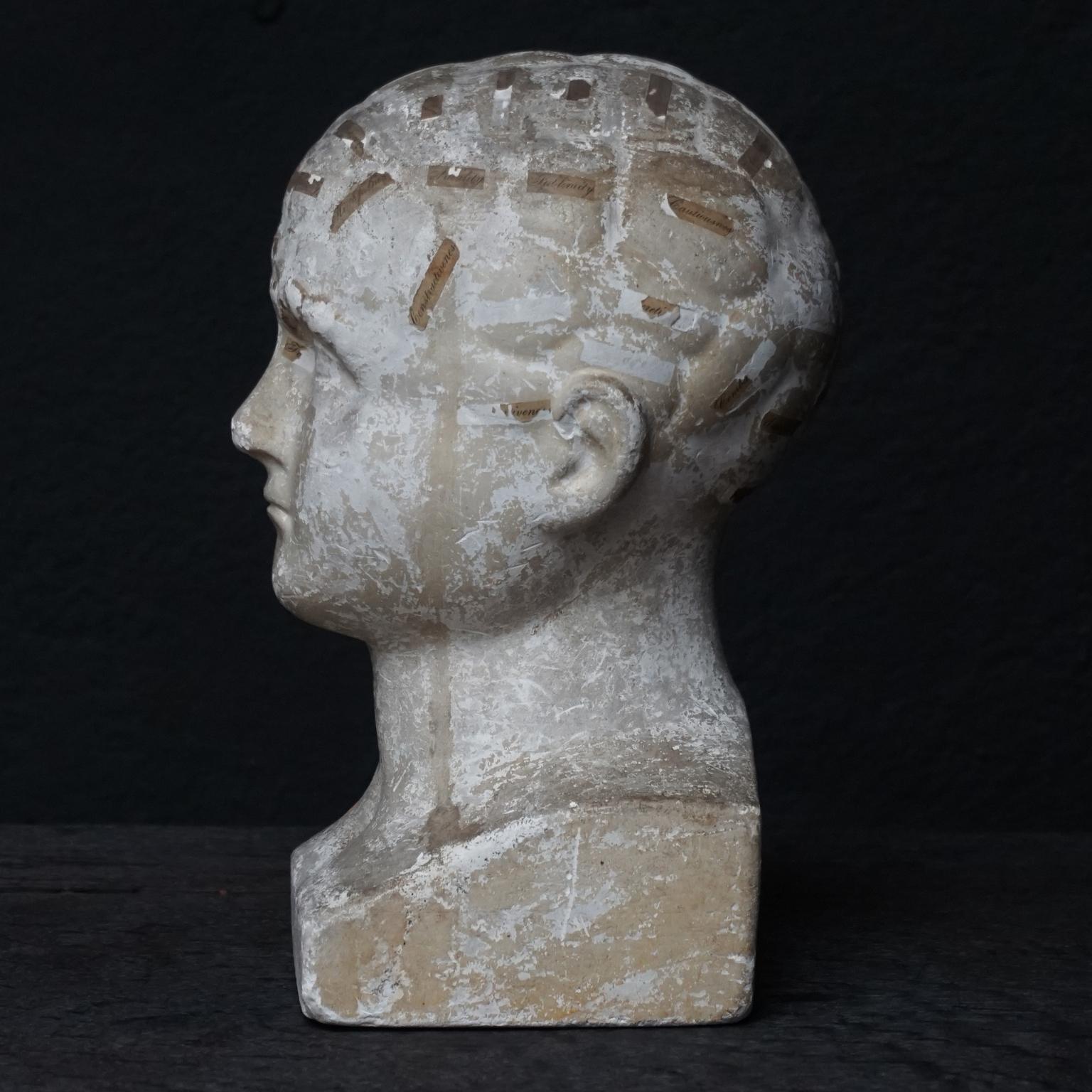 American Phrenology head of Fowlers & Wells Phrenological Cabinet New York In Fair Condition In Haarlem, NL