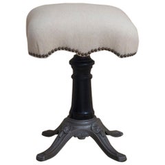 Antique American Aesthetic Movement Swivel Stool with Cast Iron and Wood Base