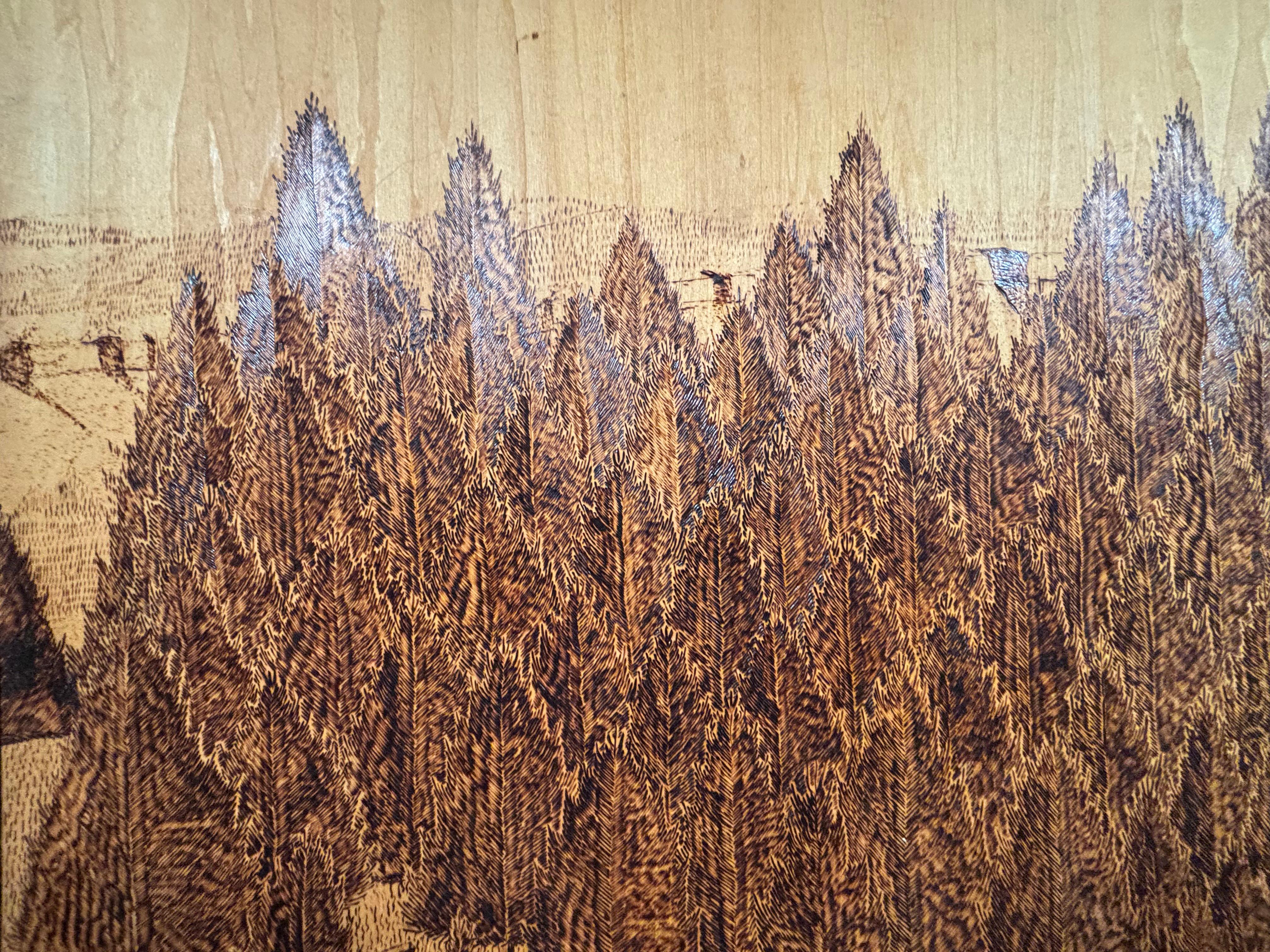 American Arts And Crafts Pyrography Native America Old West Panel Set Four 1941 im Angebot 3