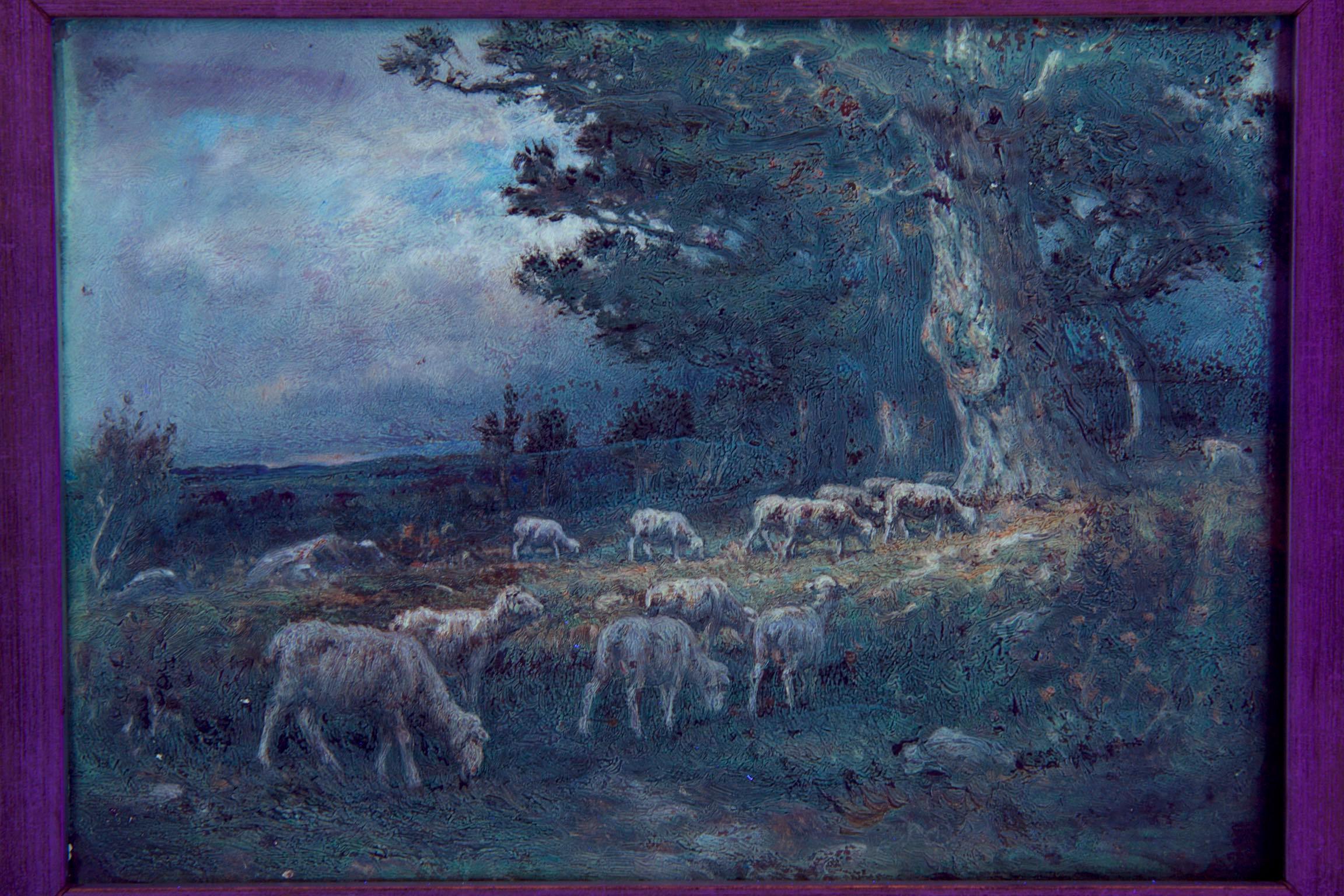 American Barbizon Antique Oil Painting of Sheep by Carleton Wiggins 4