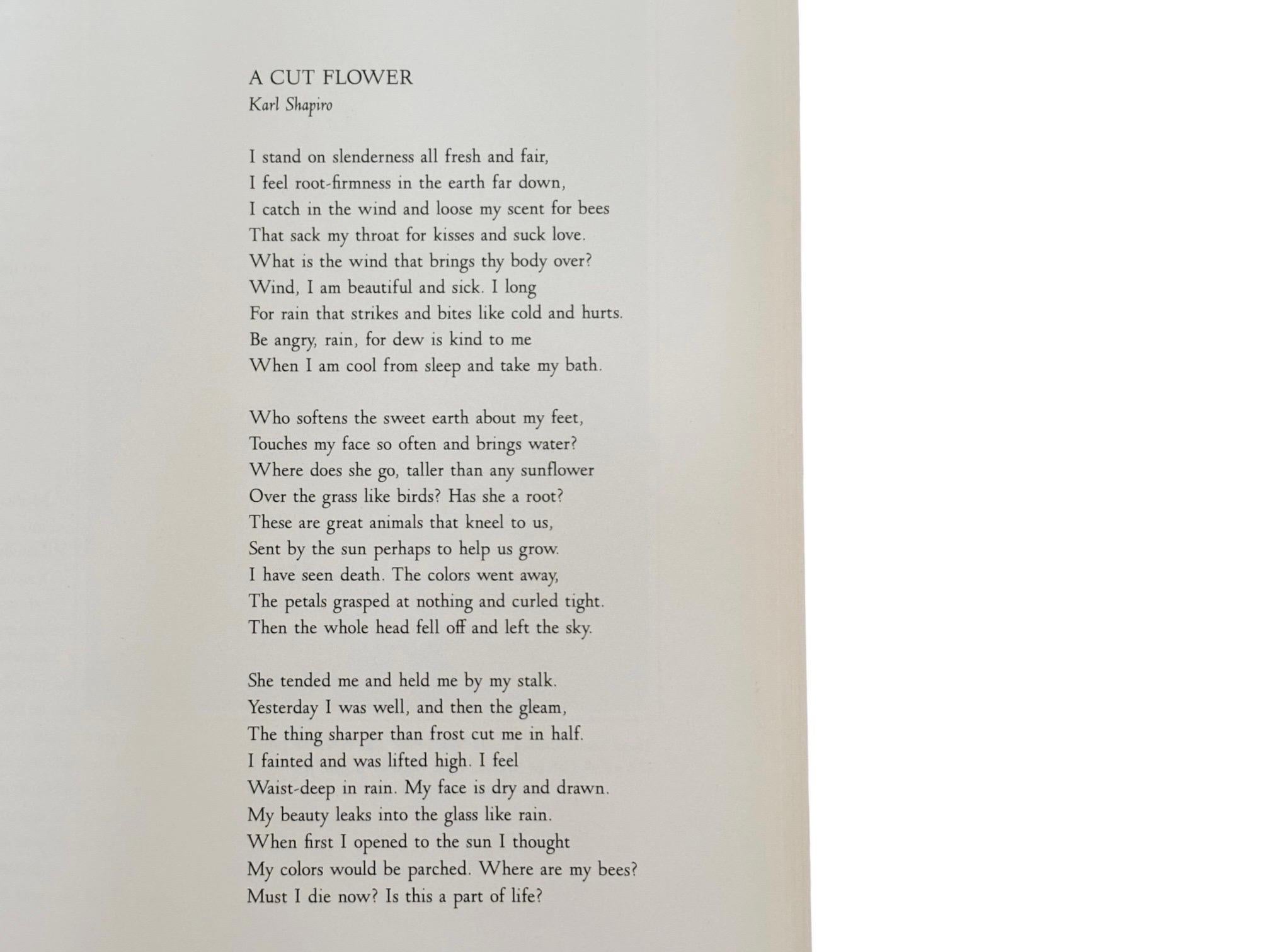 Paper American Beauties by Charles Sullivan For Sale