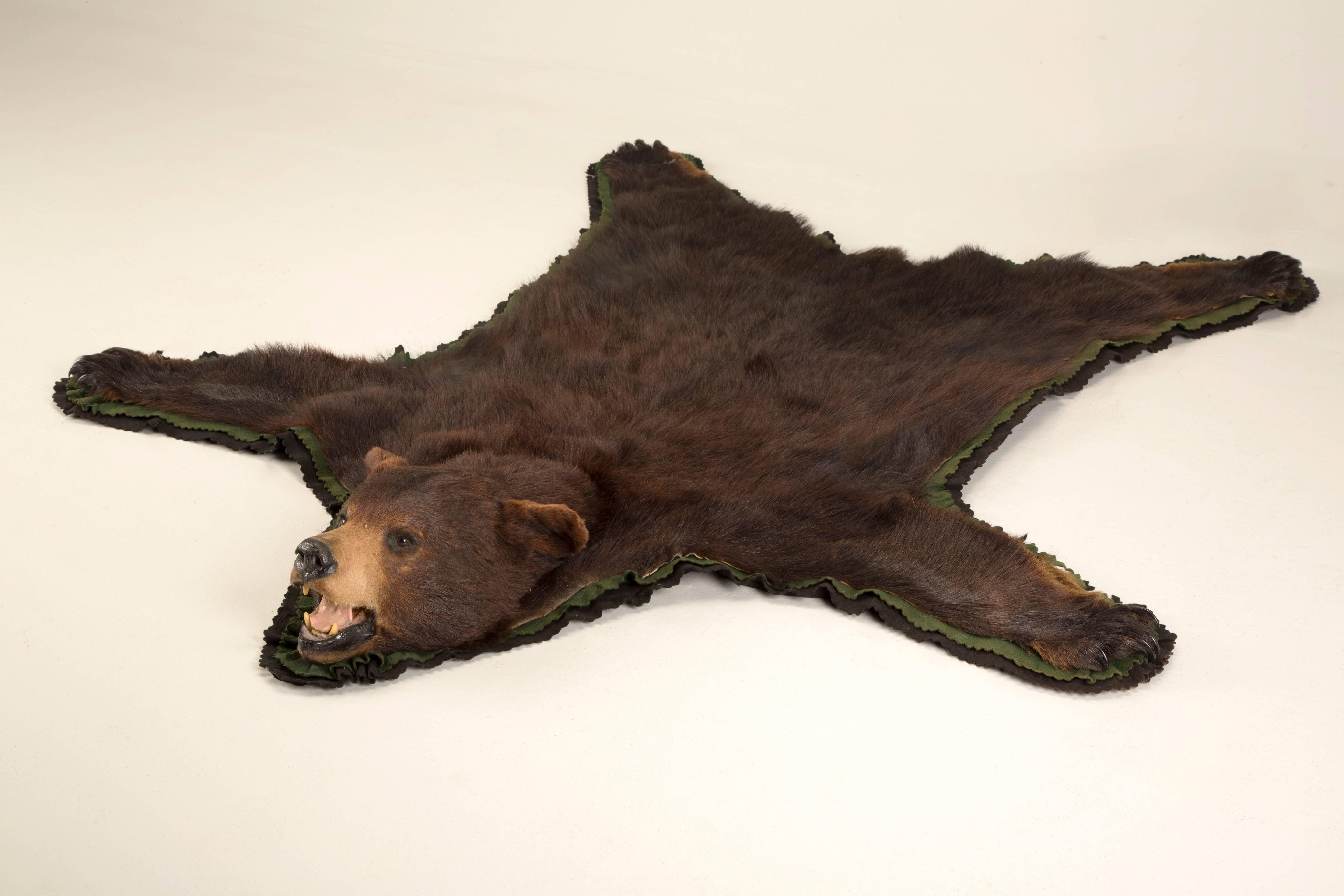 bear rug taxidermy