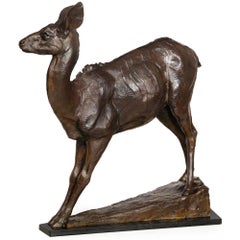 Scultura americana in bronzo "Una giovane mucca africana Kudu" (2001) di Dan Ostermiller