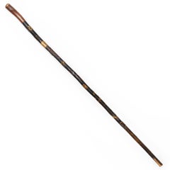 American Carved Folk Art Masonic Walking Stick Cane