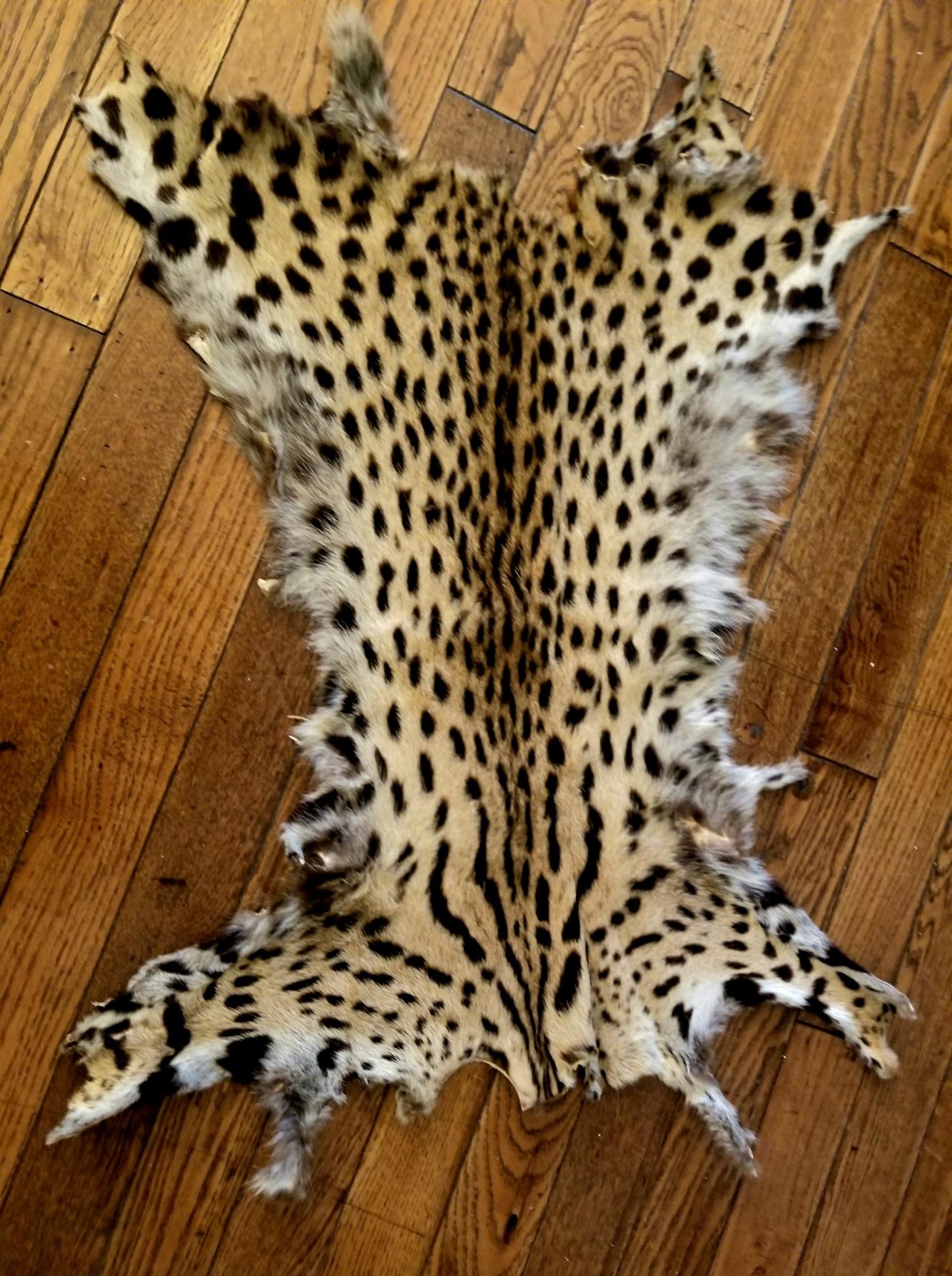 1960s cheetah fur.