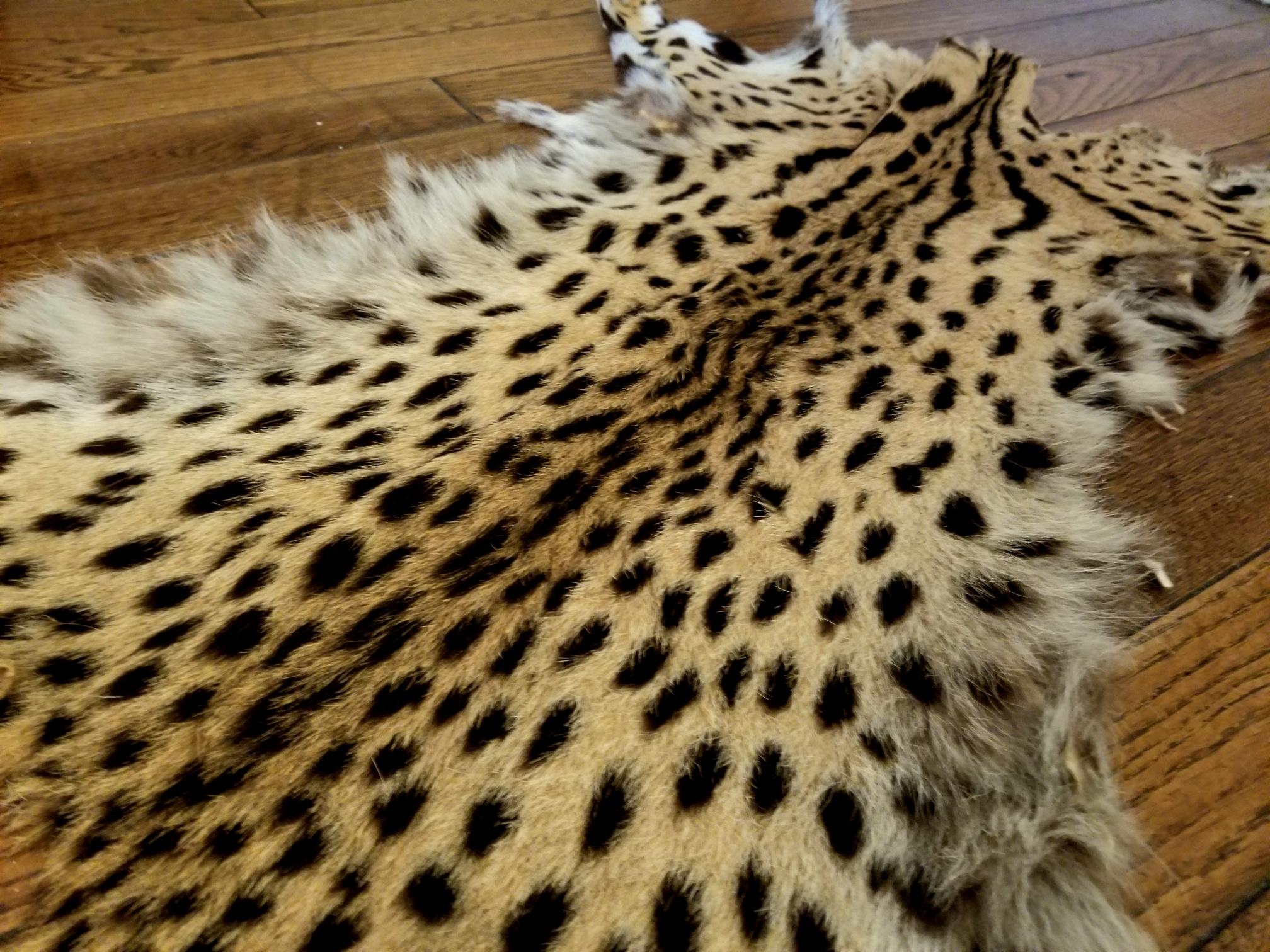 Mid-Century Modern American Cheetah Original Fur