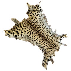 American Cheetah Original Fur