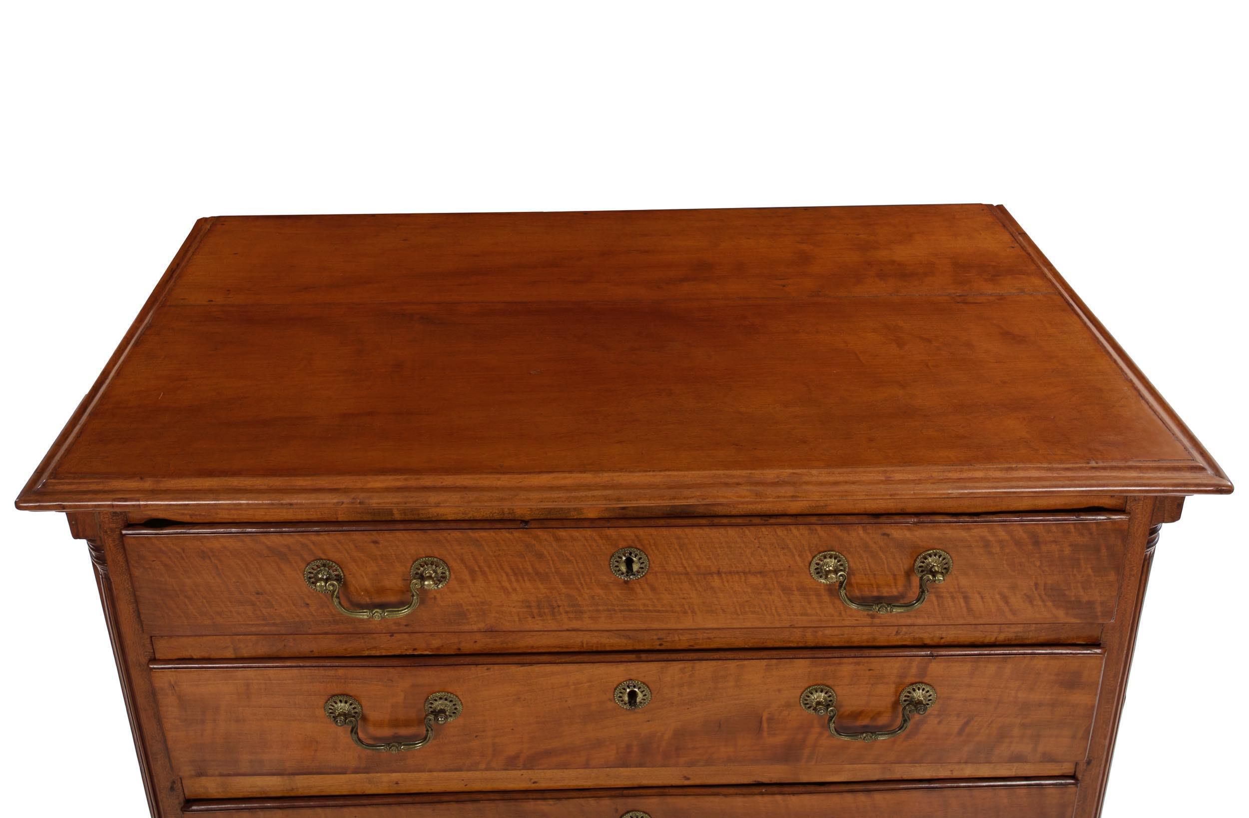 American Chippendale Tiger Maple Chest of Drawers, circa 1790 1