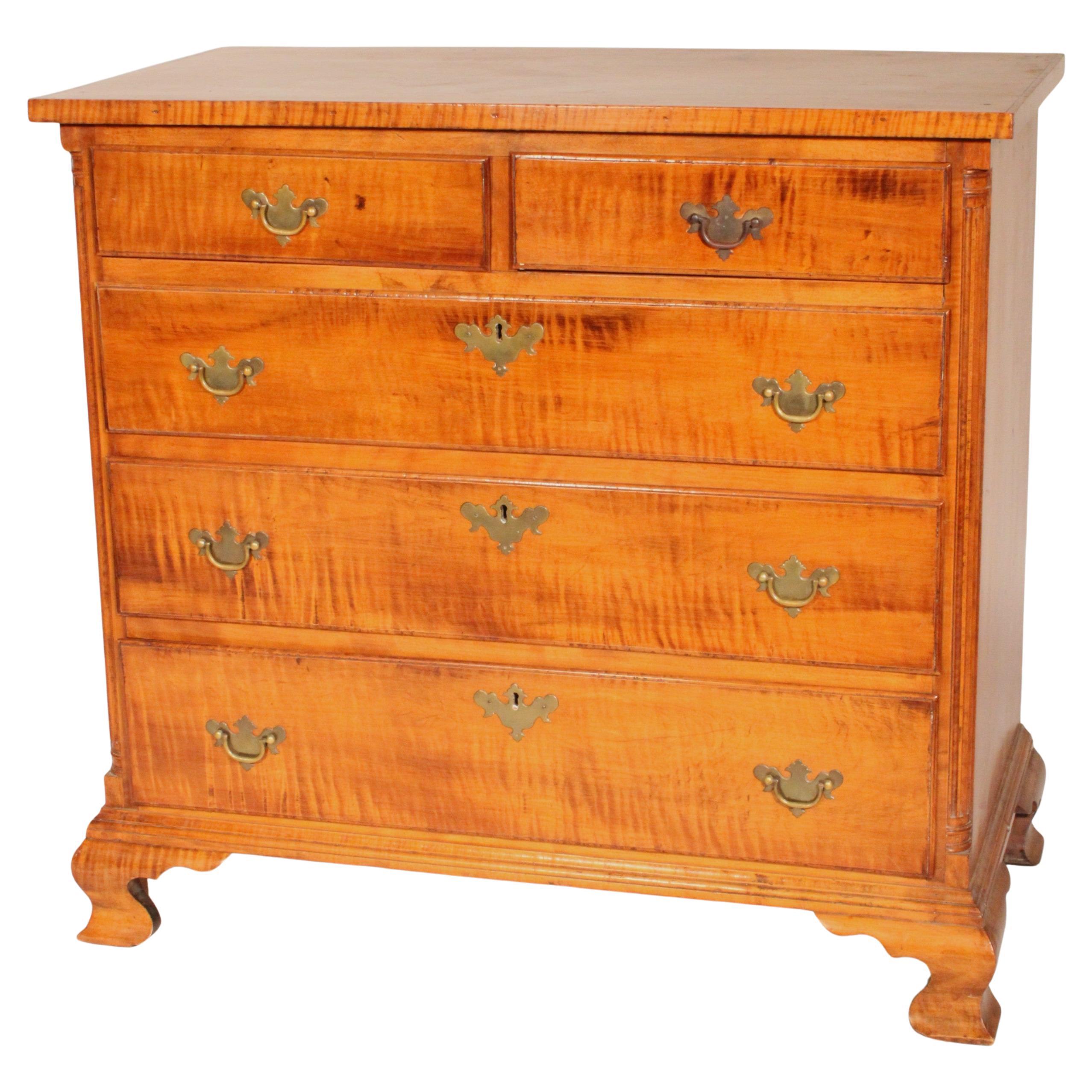 Cassettiera in acero tigrato American Chippendale