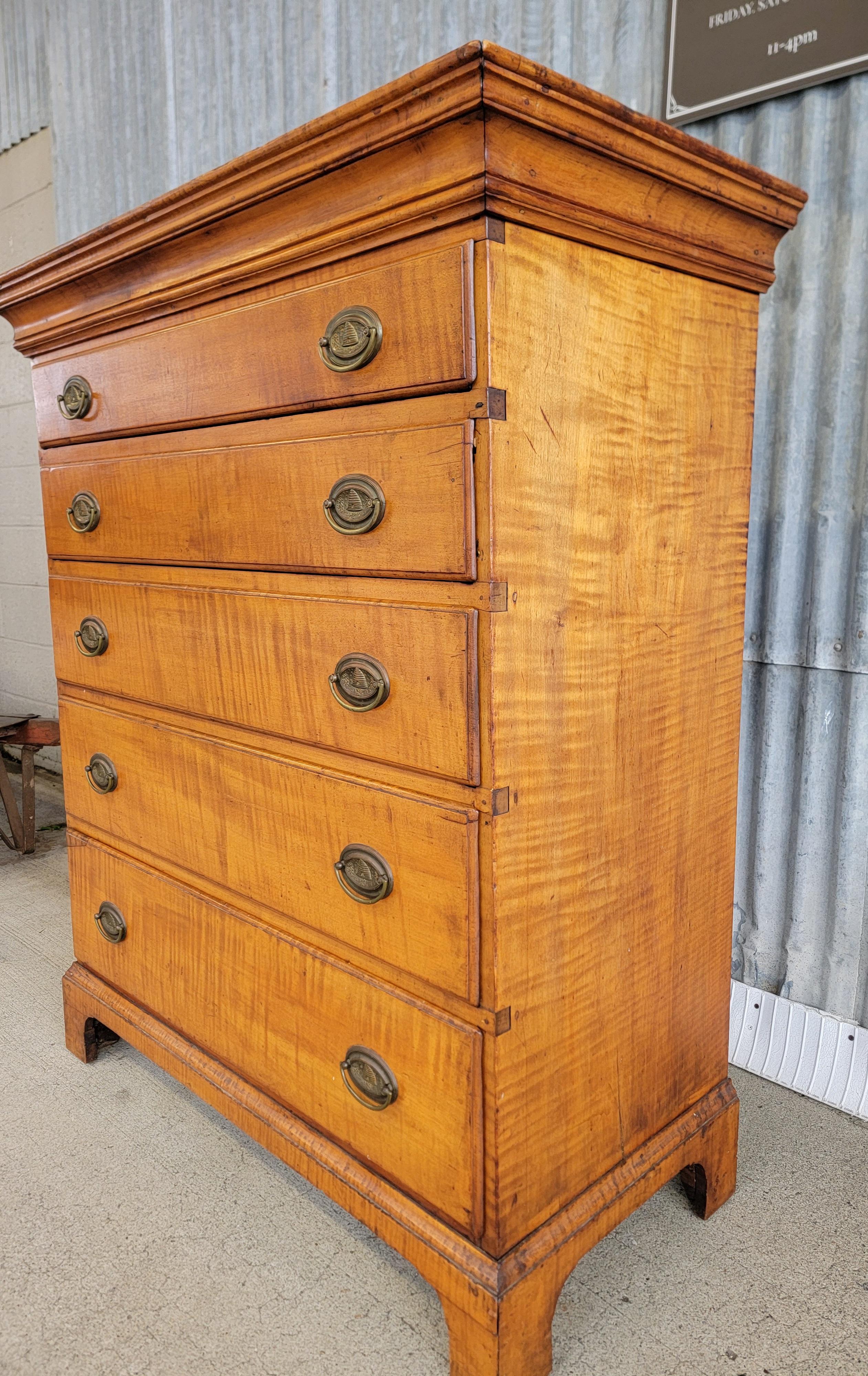 Beautiful hand made tiger maple Chippendale tall dresser. Late 18th early 19th century. Crafted in solid tiger maple. Structurally sound. Drawers glide easily. Deep and rich patina to finish. Unusual brass pulls depict a bee hive with bees. 

47.63