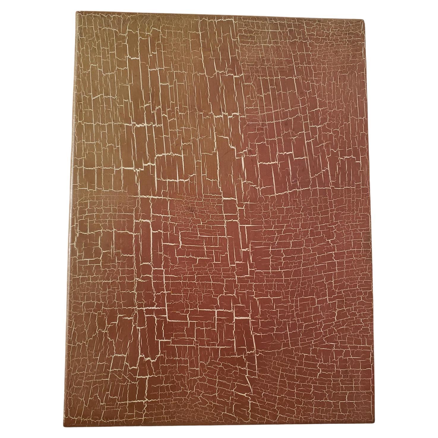 Armadio Coloniale Americano Dipinto a Crackle in vendita 2