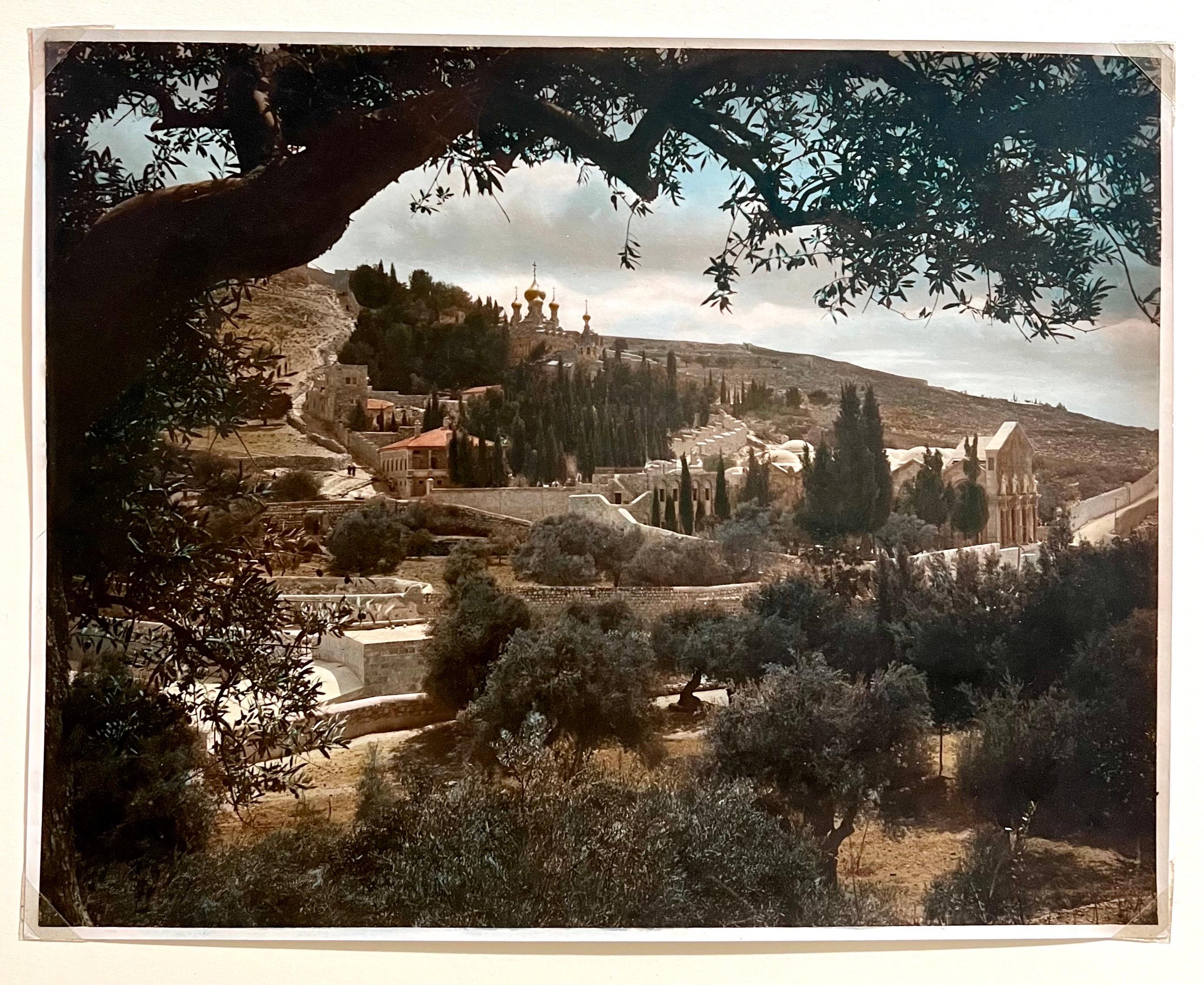Vintage Large Albumen Photo Jerusalem Photograph American Colony Mt Zion Trees For Sale 1