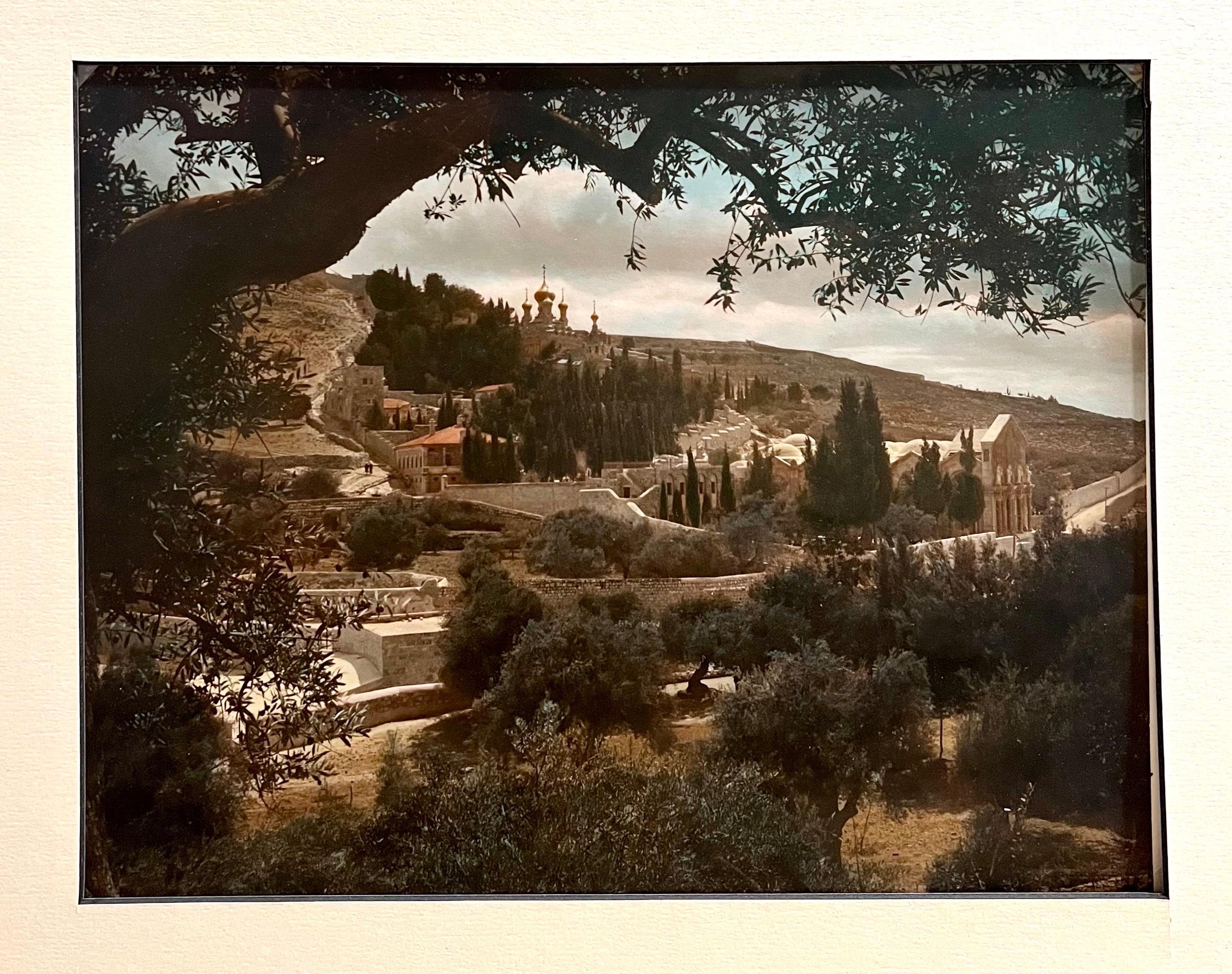 Vintage Large Albumen Photo Jerusalem Photograph American Colony Mt Zion Trees For Sale 2