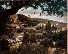 Großes Albumen-Foto Jerusalem, amerikanische Kolonie, Mt Zion-Bäume, Vintage