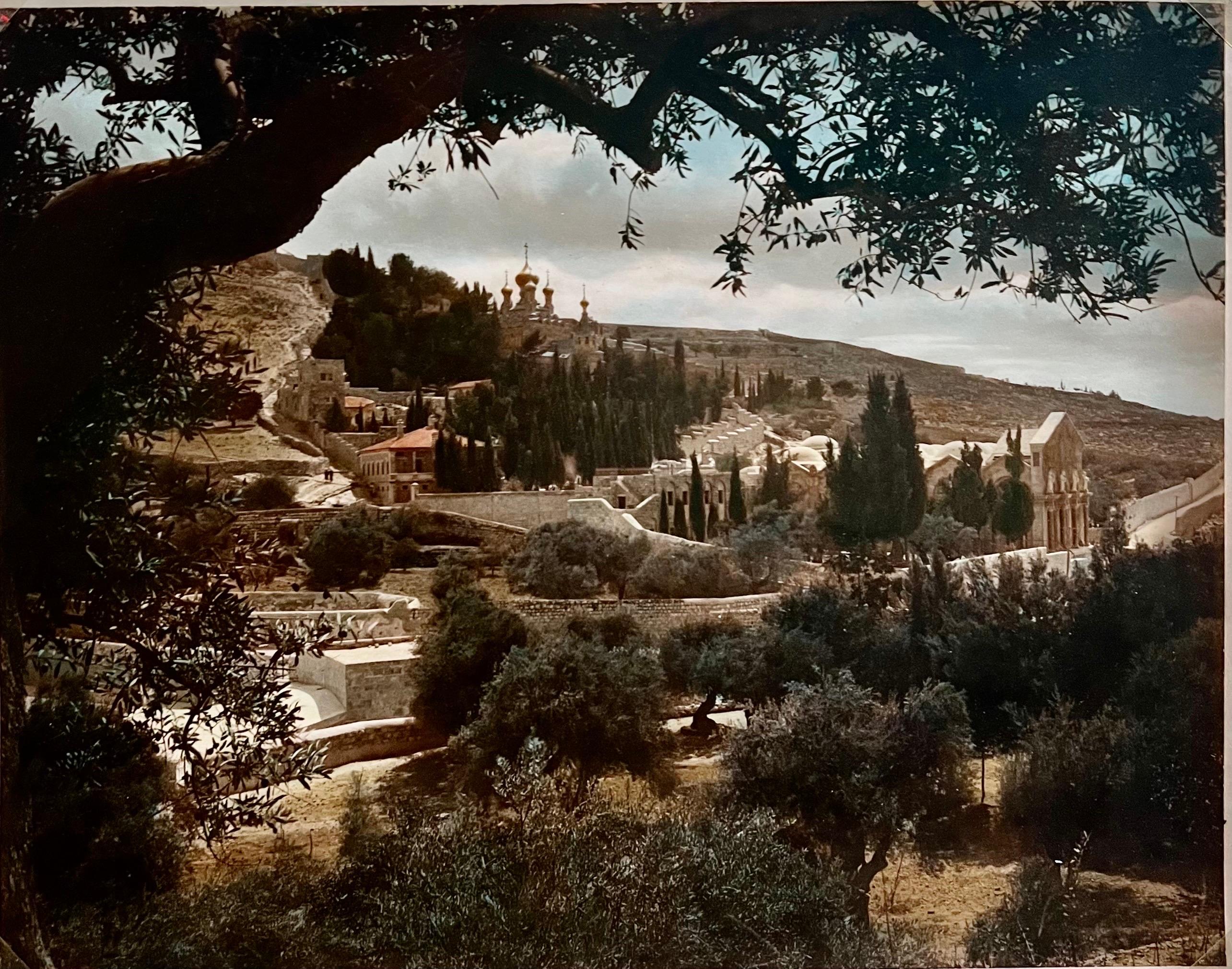 Vintage Gran Foto Álbum Jerusalén Fotografía American Colony Mt Zion Árboles