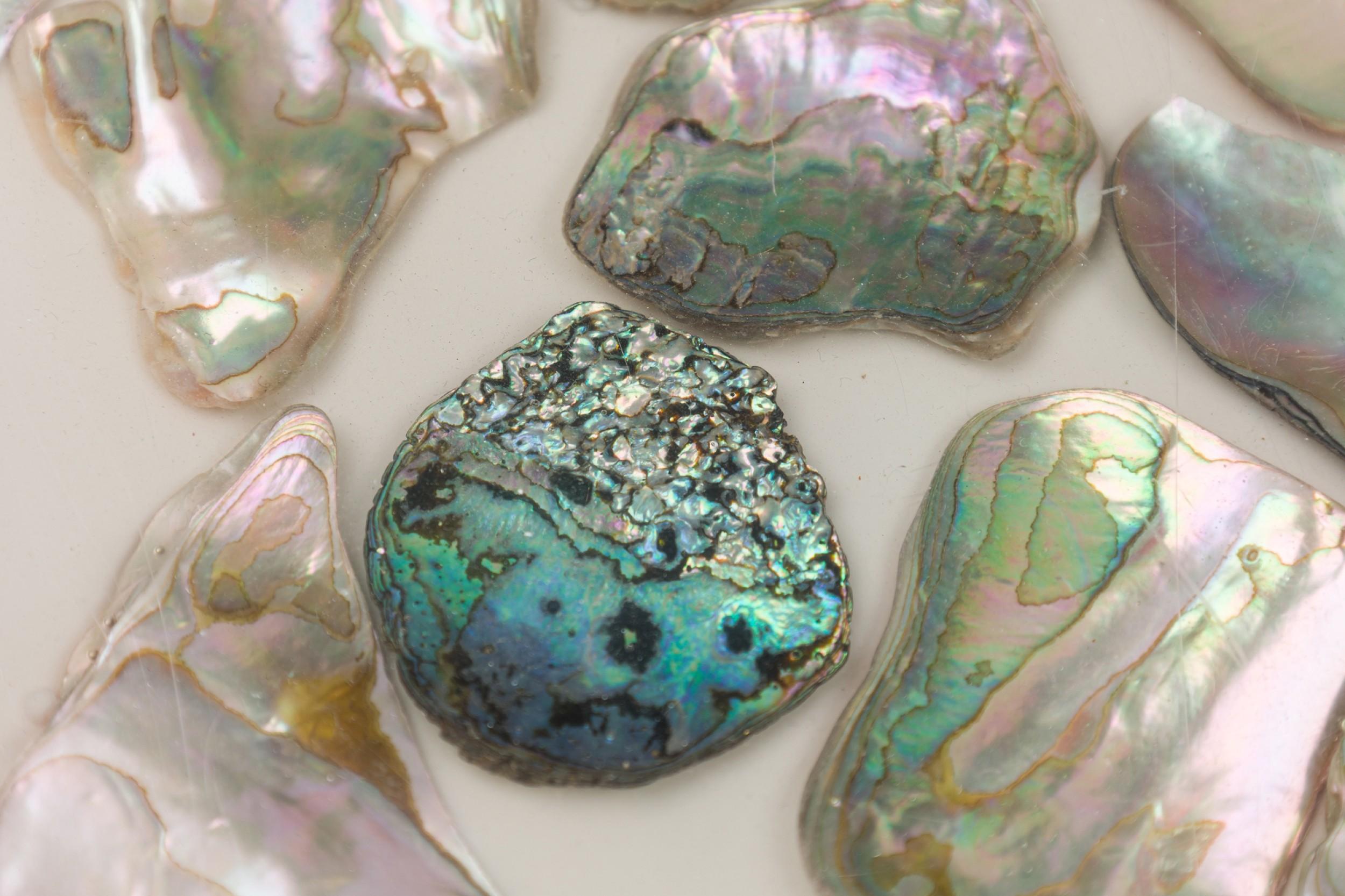 American Contemporary Lucite and Abalone Tray im Zustand „Gut“ im Angebot in Queens, NY