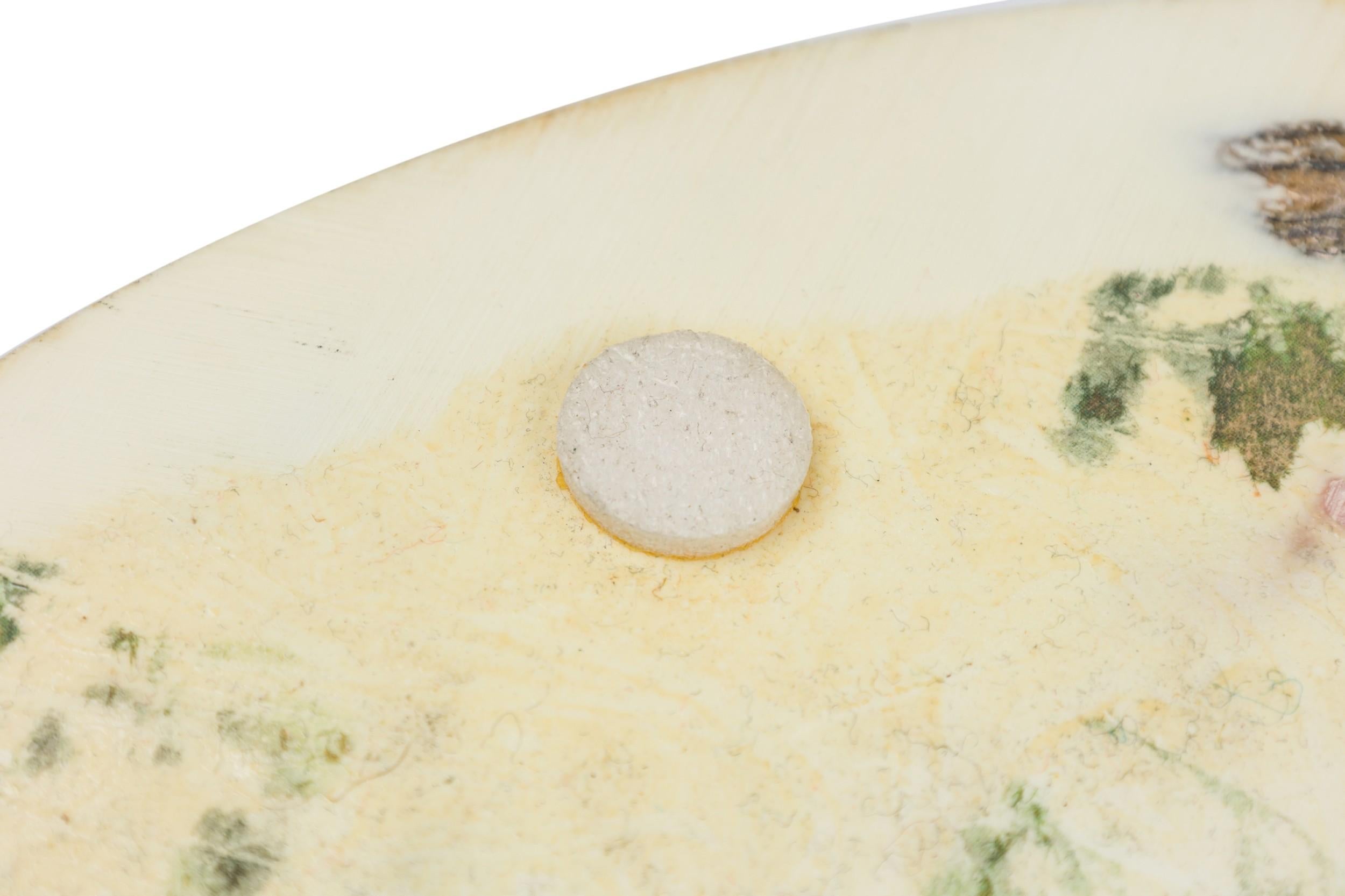 American Contemporary Lucite and Abalone Tray im Angebot 2