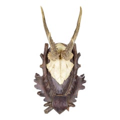 American Country Style Taxidermy Antler Plaque