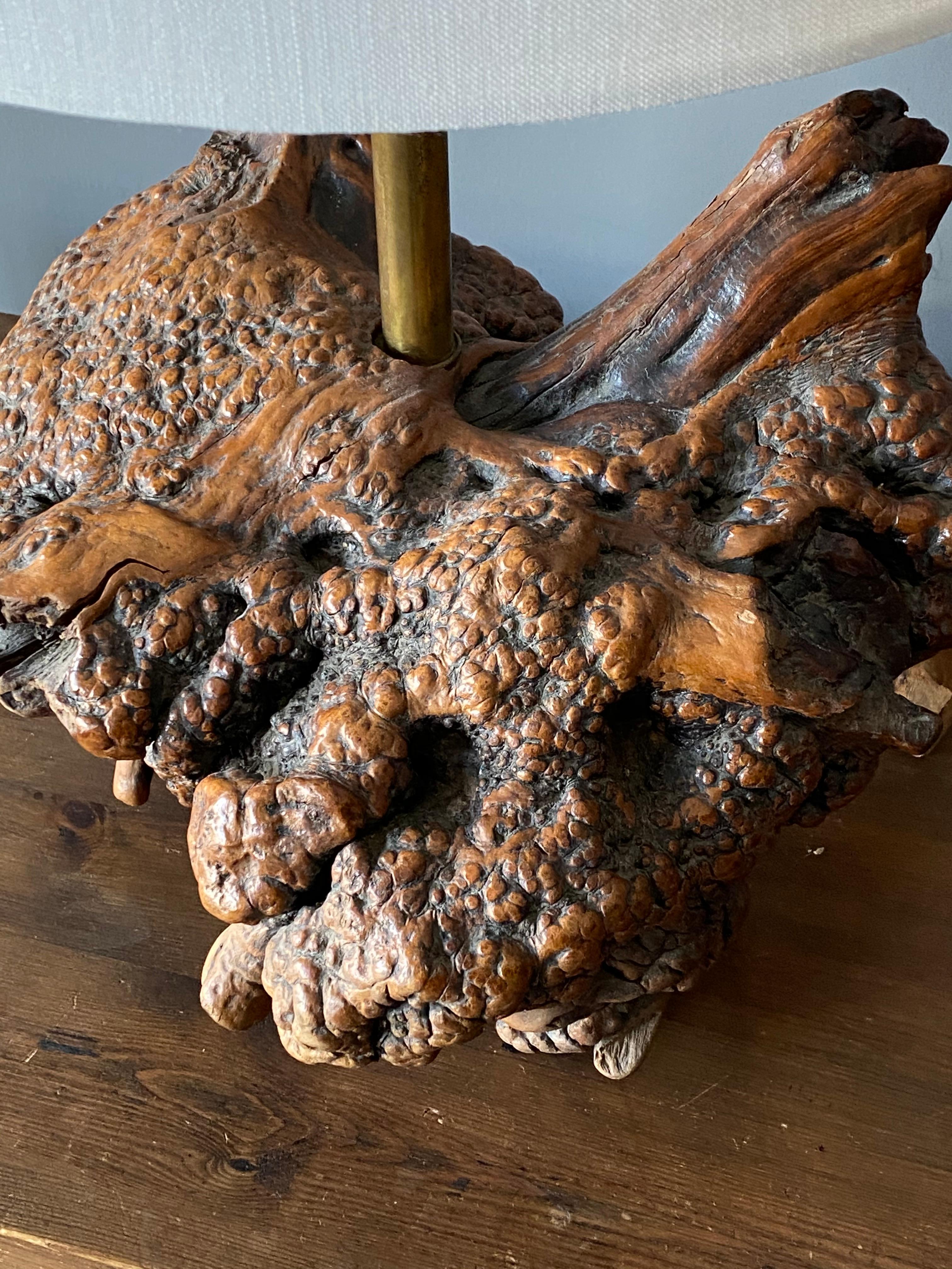 American Craft, Gran Lámpara de Mesa Orgánica, Madera de Burl, Tejido de Latón, América Años 50 mediados del siglo XX