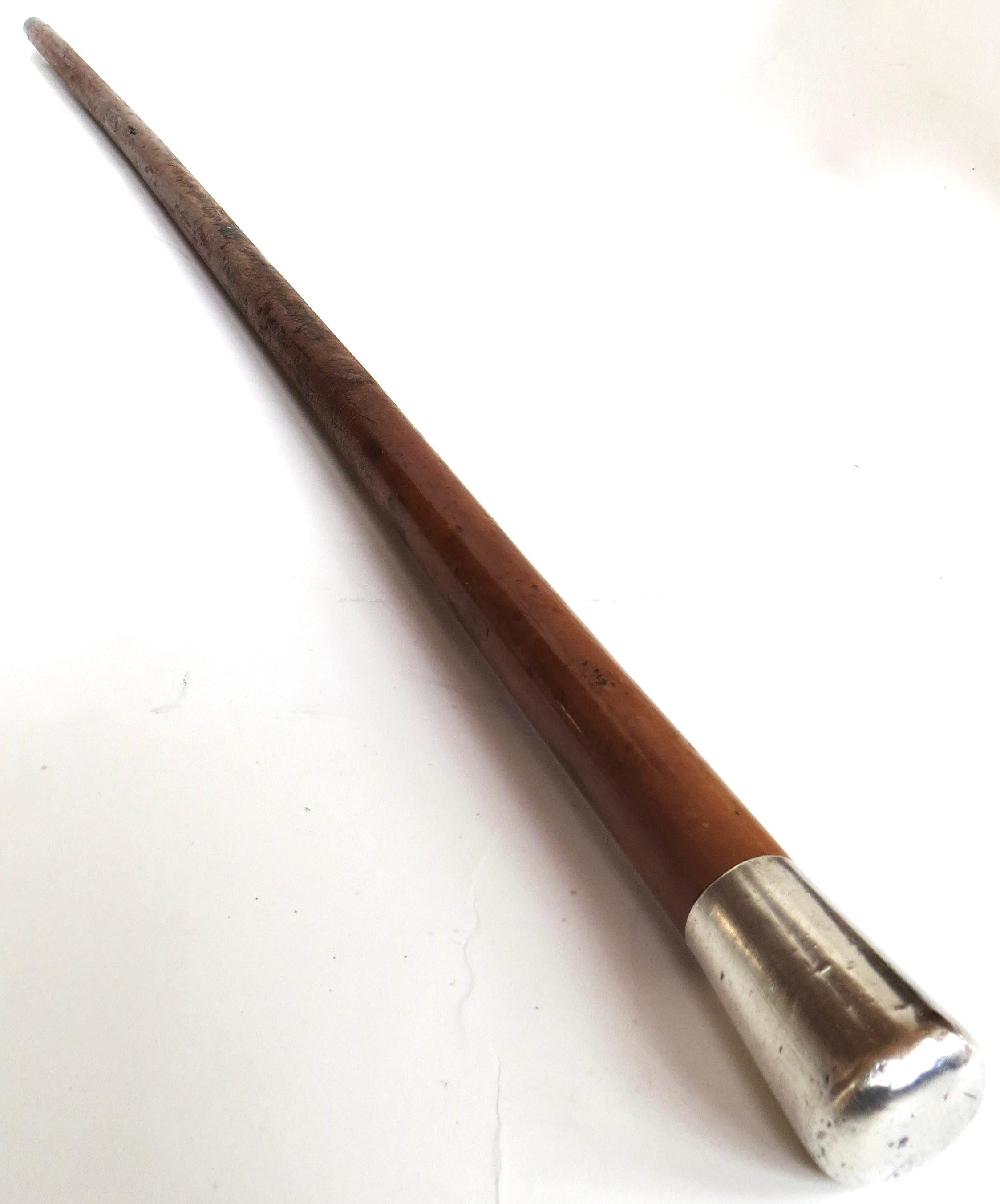 American Cylindrical Sterling Silver Handle On Wooden Walking Stick. Circa 1895 In Good Condition For Sale In Incline Village, NV