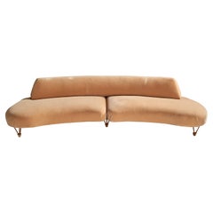 American Designer, Organic Sofa, Velvet, Mahogany, USA, 1960s
