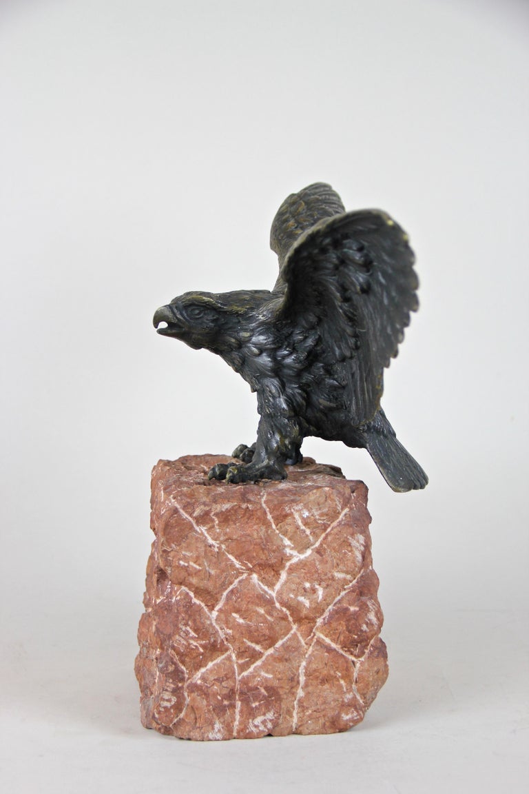 American Eagle Bronze Sculpture on Red Marble Base, Austria, circa 1900