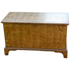 American Early 19th Century Sponge Painted Trunk with Bracket Base