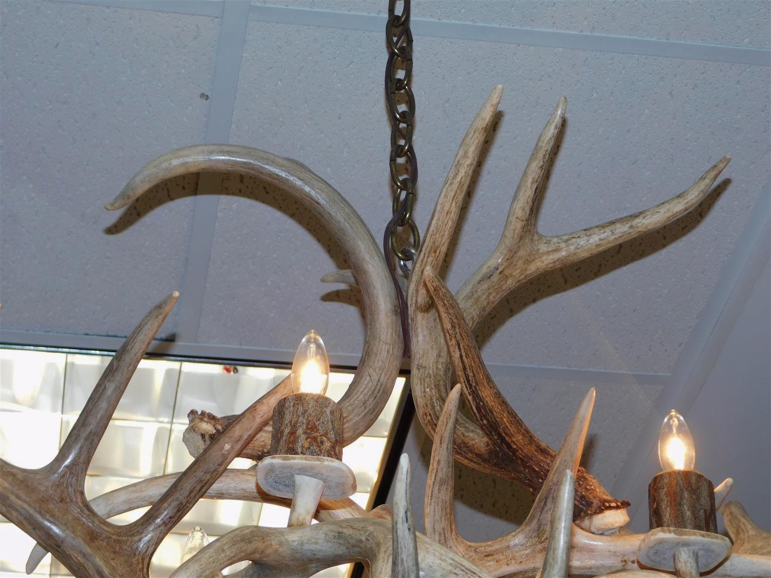Hand-Crafted American Elk Antler Intertwined Eight Light Chandelier, Early 20th Century For Sale