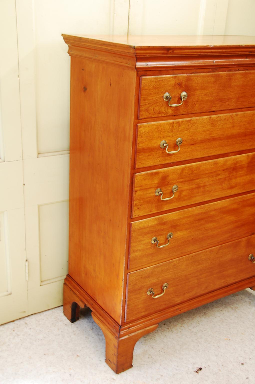 American Federal period chippendale birch and pine tall chest of five graduated drawers with bracket base. Each drawer has a molded edge and the secondary wood is basswood, which is a very clean light colored hardwood. This chest is beautifully