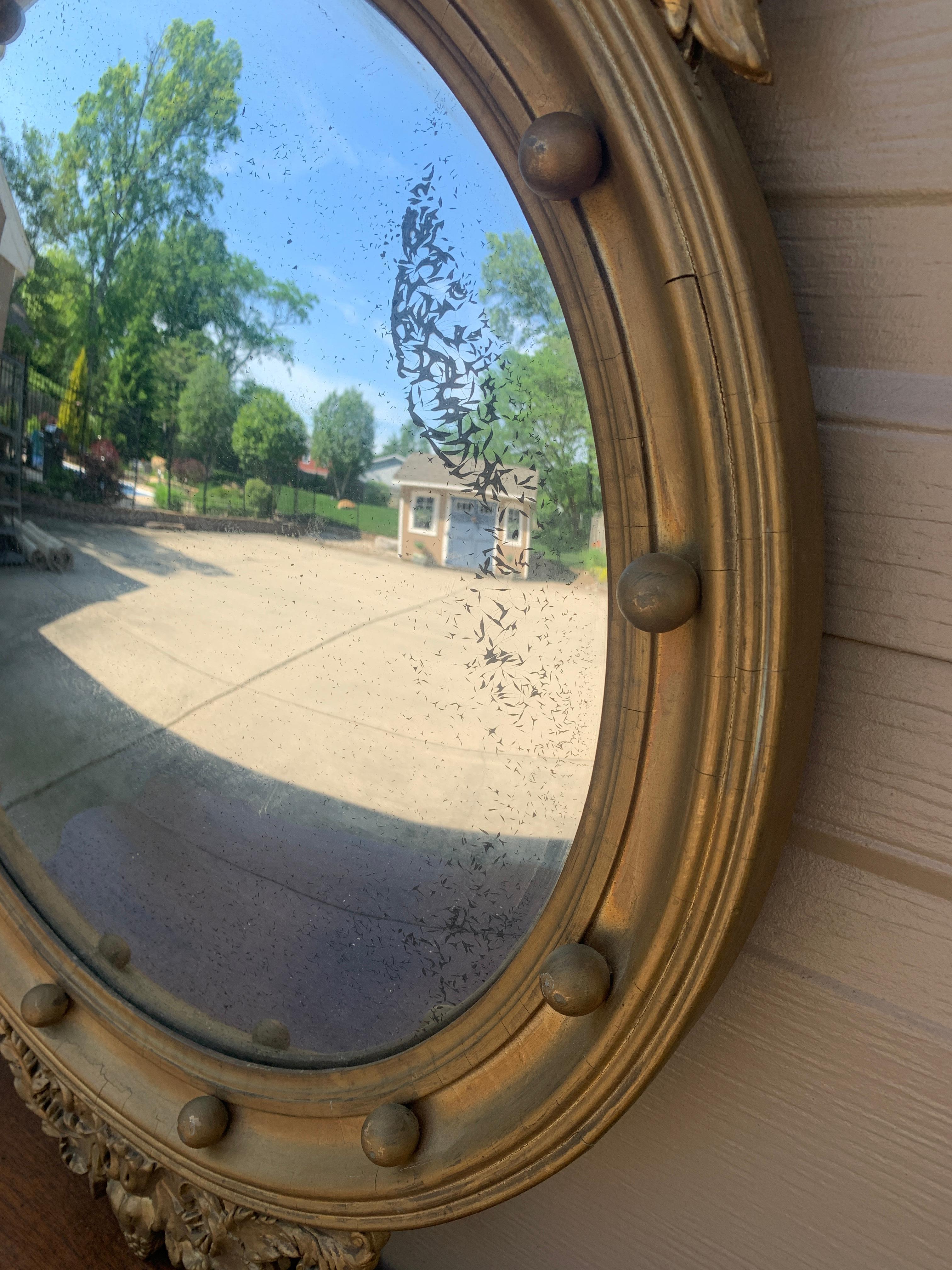 American Federal Giltwood Eagle Bullseye Convex Mirror 3