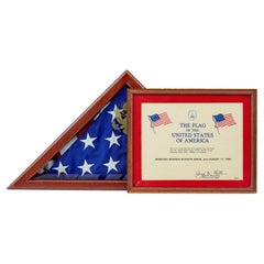 American flag in glazed presentation cabinet