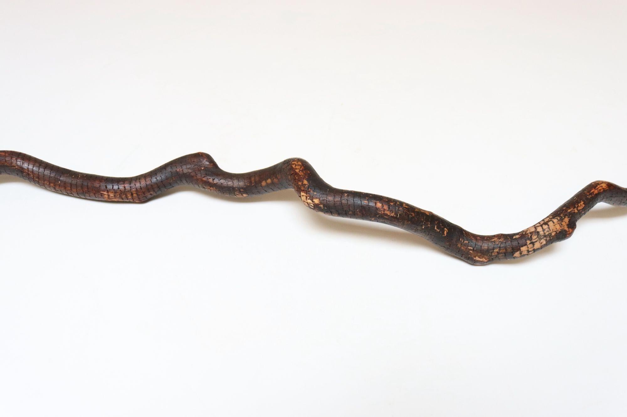 Scultura in legno di serpente spinoso intagliato a mano di American Folk Art Carved in vendita 3