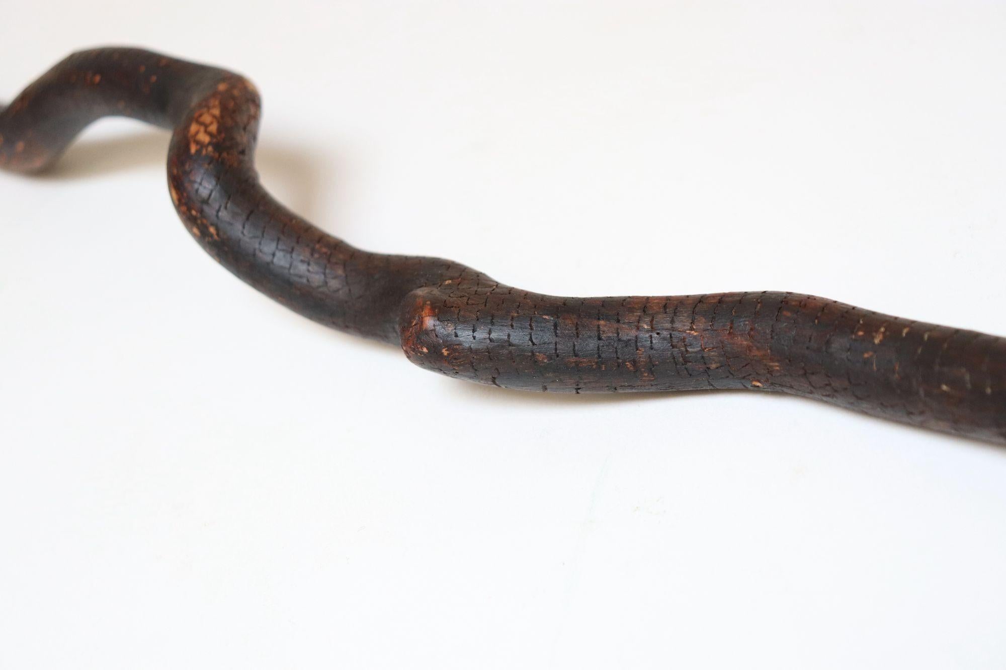 Scultura in legno di serpente spinoso intagliato a mano di American Folk Art Carved in vendita 4