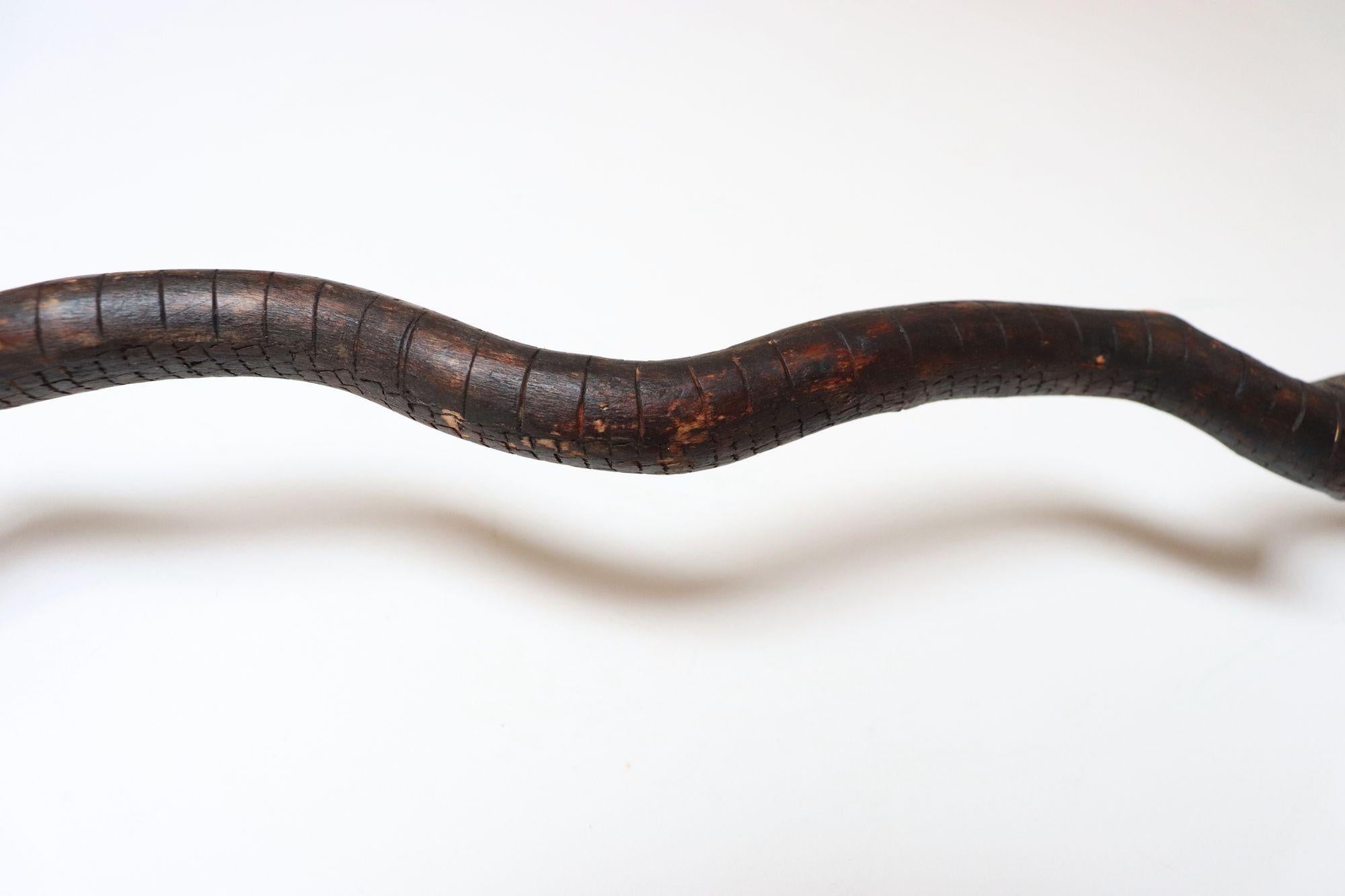 Scultura in legno di serpente spinoso intagliato a mano di American Folk Art Carved in vendita 6