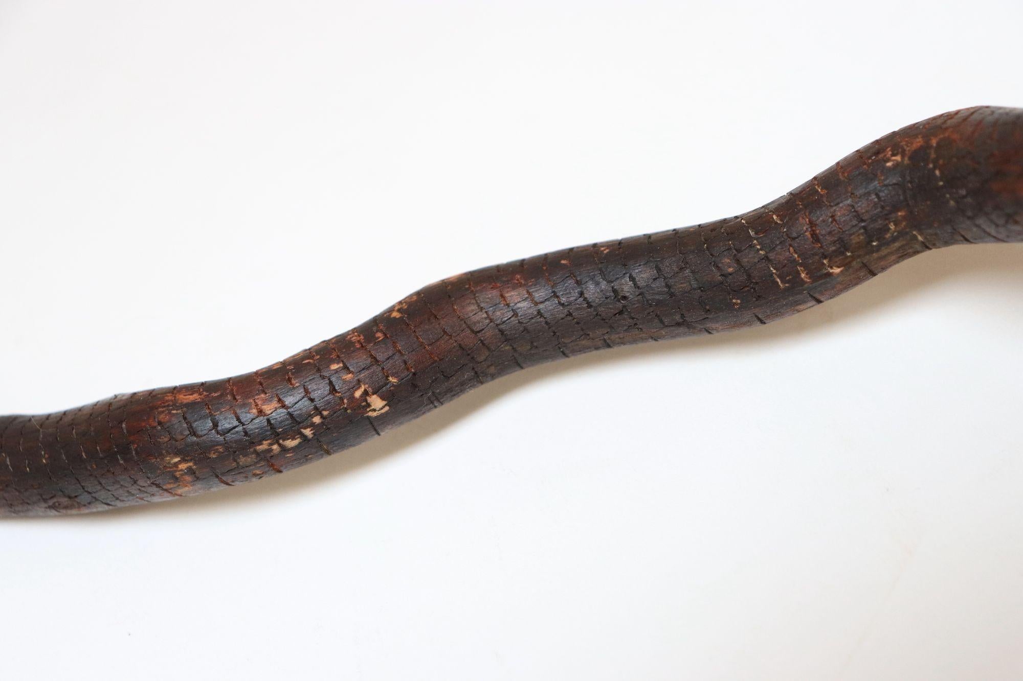 Scultura in legno di serpente spinoso intagliato a mano di American Folk Art Carved in vendita 7