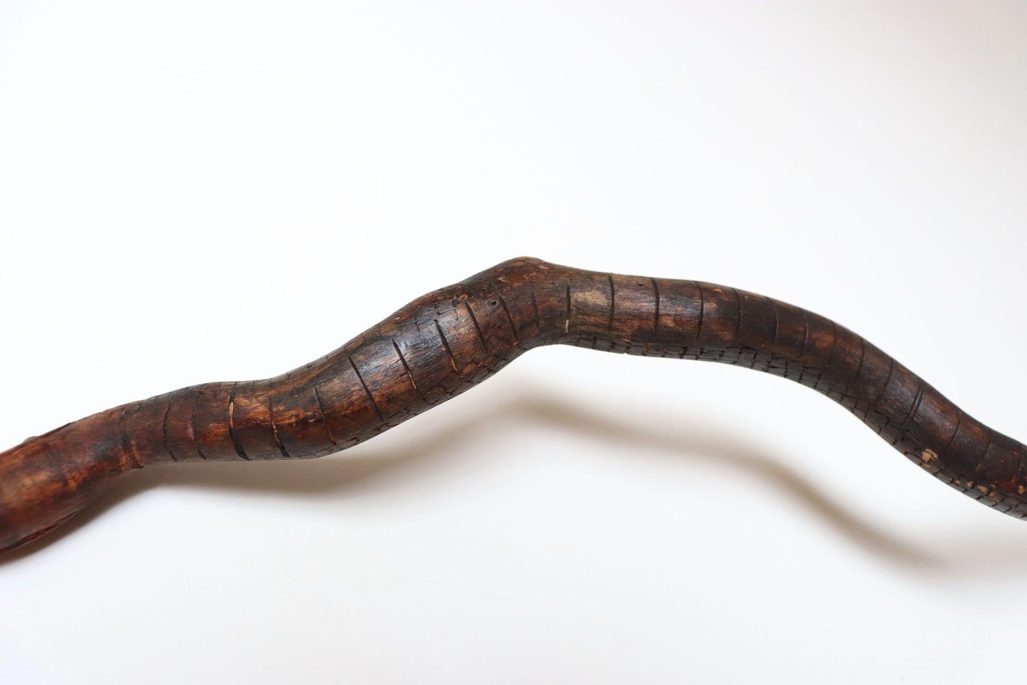 Scultura in legno di serpente spinoso intagliato a mano di American Folk Art Carved in vendita 8