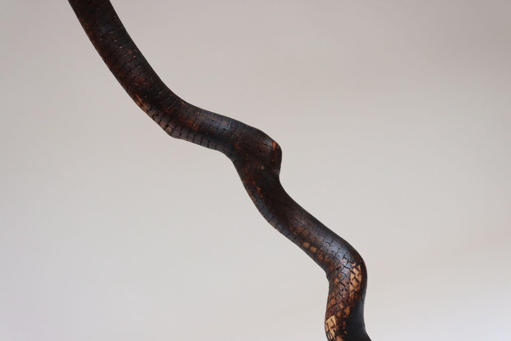 Scultura in legno di serpente spinoso intagliato a mano di American Folk Art Carved in vendita 9