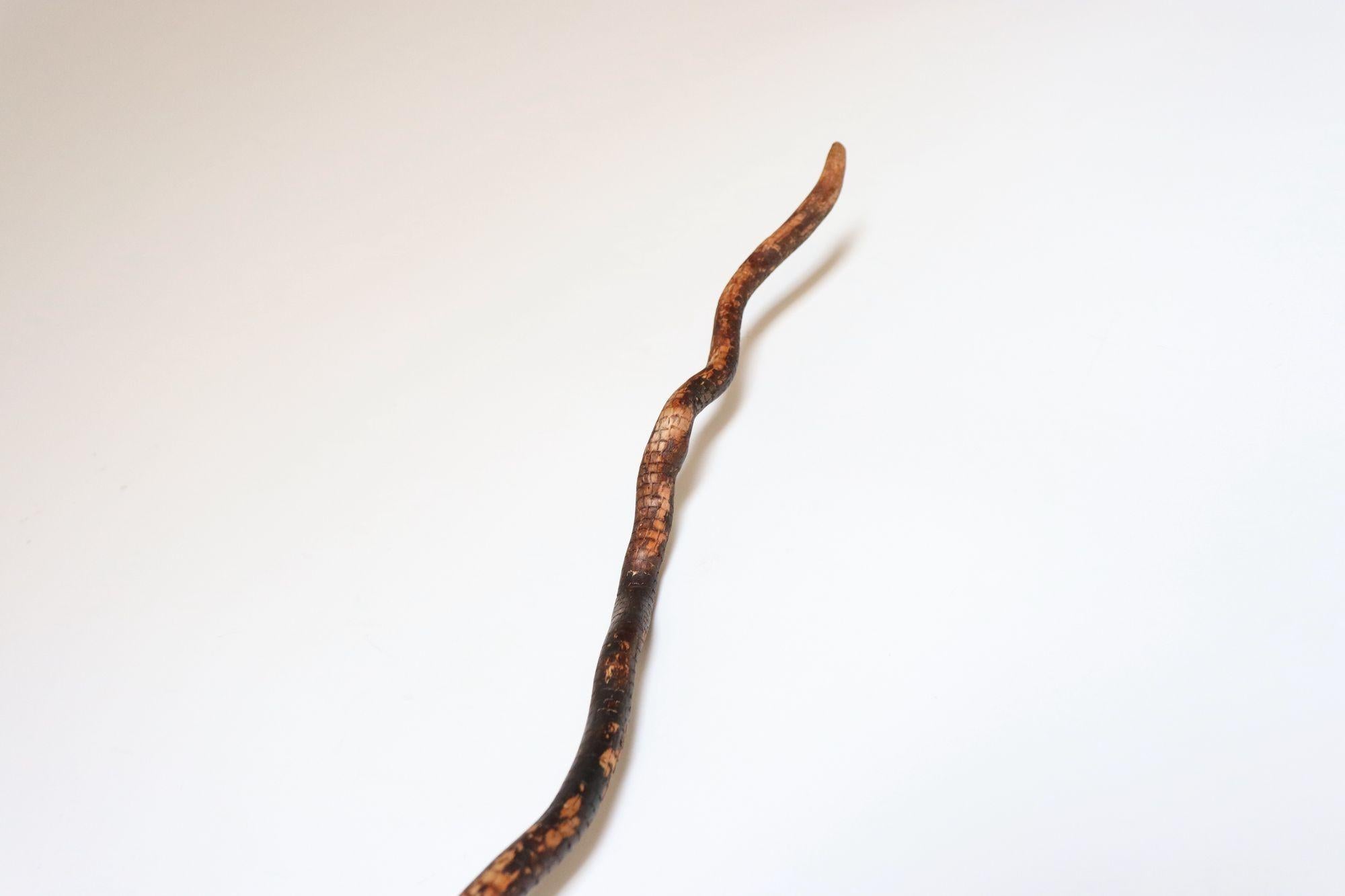 Scultura in legno di serpente spinoso intagliato a mano di American Folk Art Carved in vendita 10