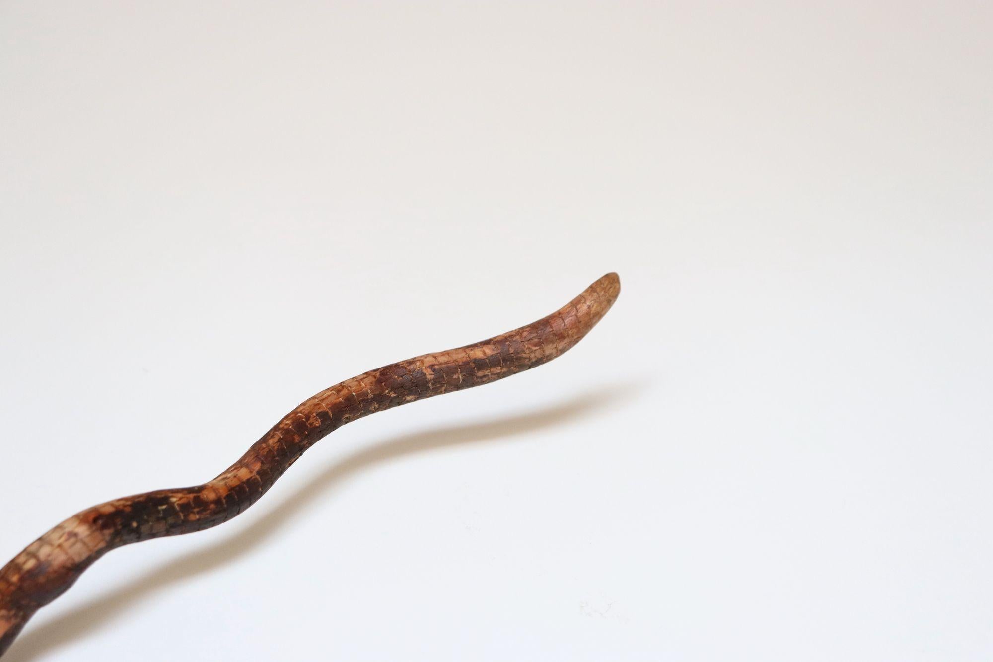 Scultura in legno di serpente spinoso intagliato a mano di American Folk Art Carved in vendita 5