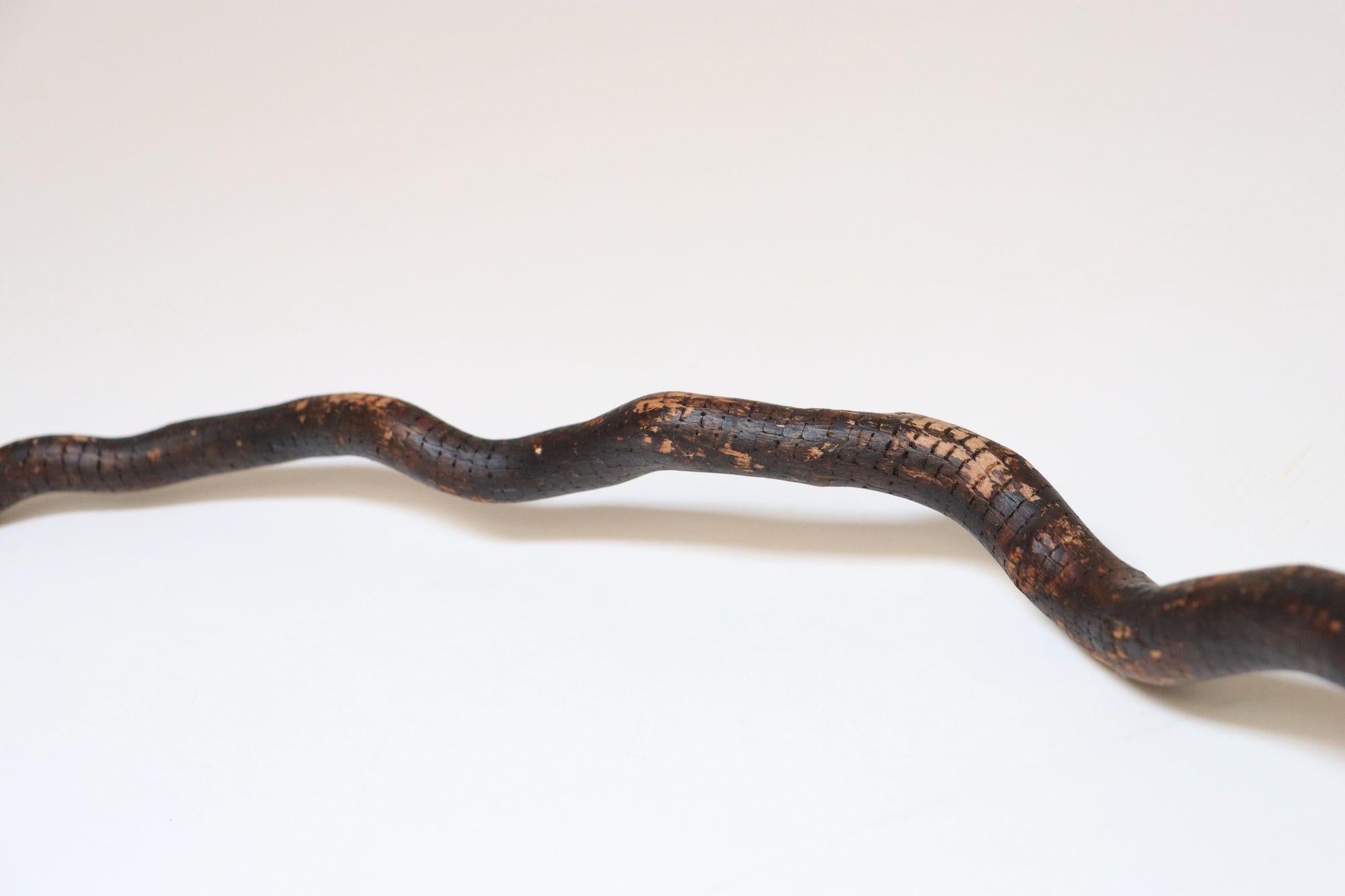 Scultura in legno di serpente spinoso intagliato a mano di American Folk Art Carved in vendita 11