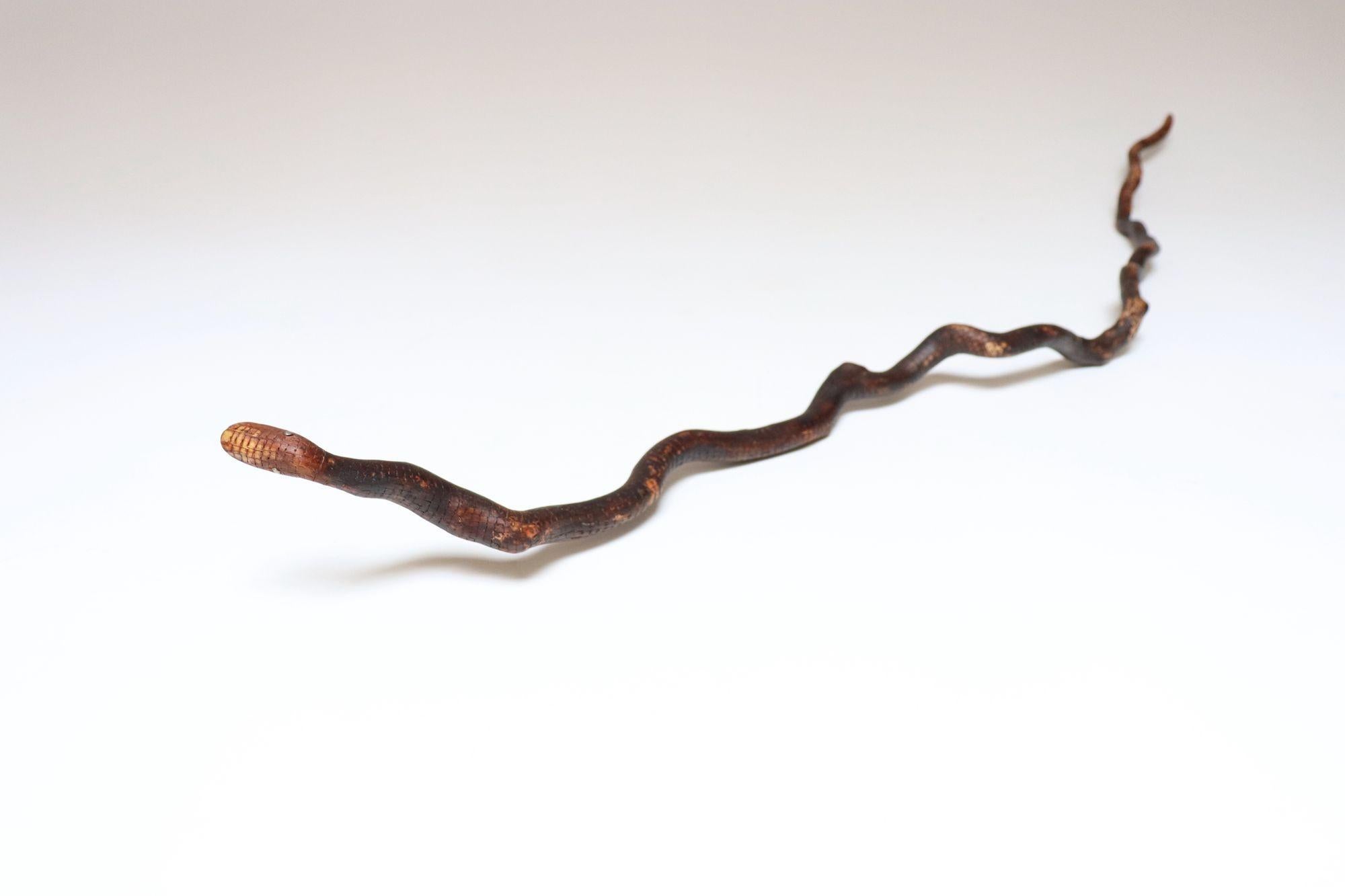 Bastone in legno intagliato a mano a forma di serpente (fine del XIX secolo circa, USA).
Corpo sinuoso con squame e dettagli del viso scolpiti a mano con chiodi di metallo come occhi.
Un pezzo lungo e imponente che misura 39