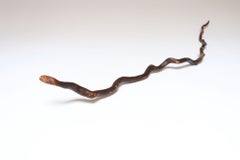 American Folk Art Hand-Carved Wooden Spindly Snake Sculpture