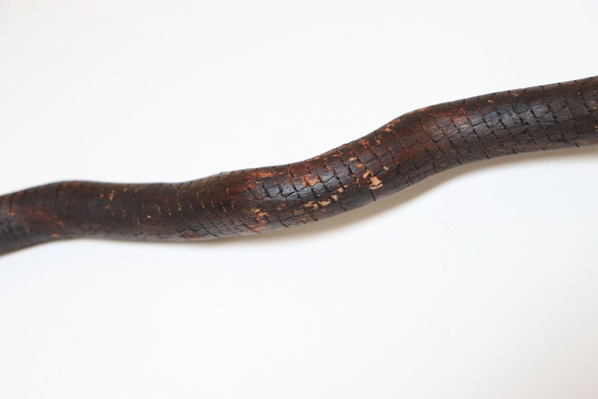 Scultura in legno di serpente spinoso intagliato a mano di American Folk Art Carved in vendita 12