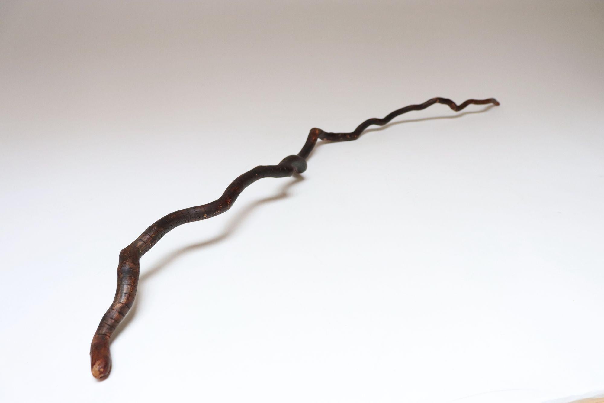 Arte popolare Scultura in legno di serpente spinoso intagliato a mano di American Folk Art Carved in vendita