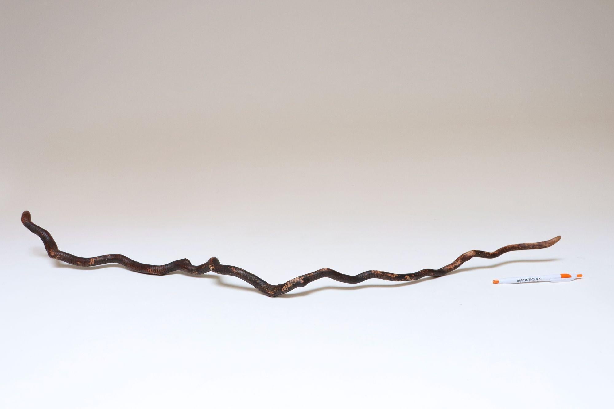 Americano Scultura in legno di serpente spinoso intagliato a mano di American Folk Art Carved in vendita