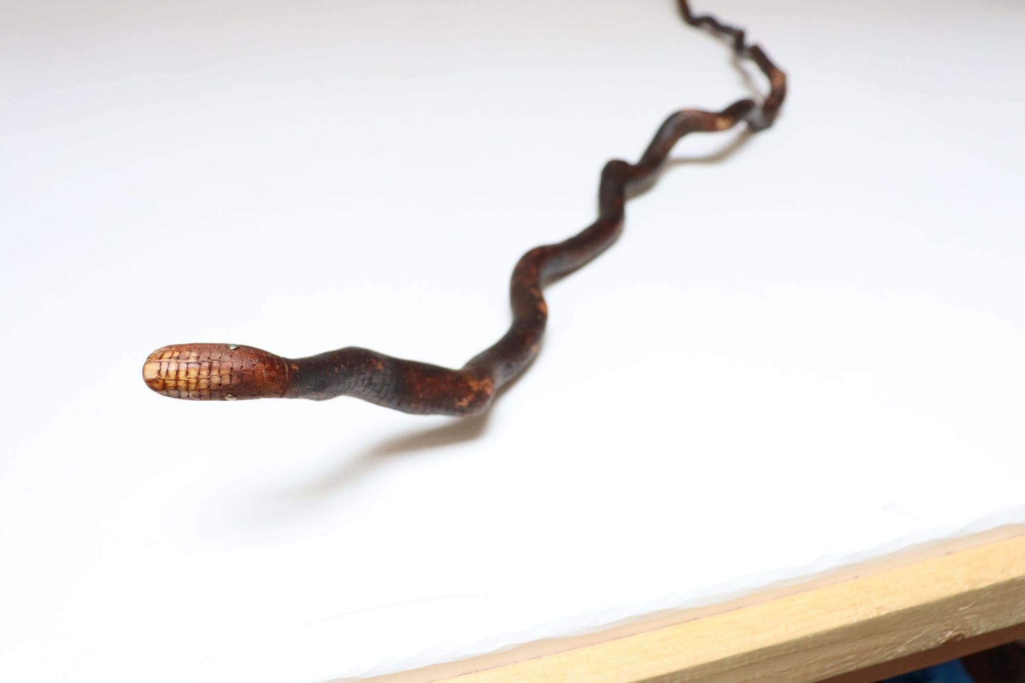 Scultura in legno di serpente spinoso intagliato a mano di American Folk Art Carved In condizioni buone in vendita a Brooklyn, NY