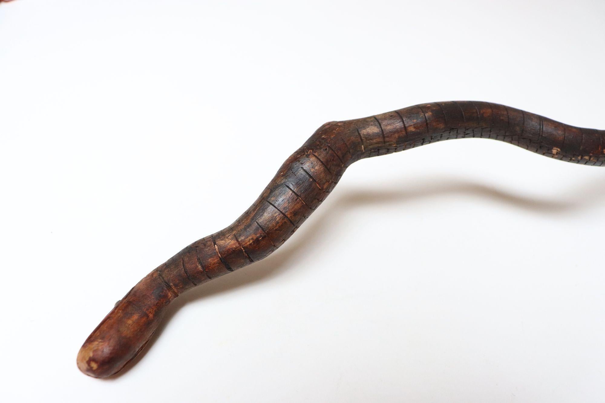 Scultura in legno di serpente spinoso intagliato a mano di American Folk Art Carved in vendita 1